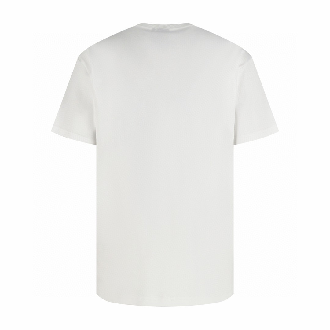 DIOR 迪奥 刺绣logo平纹圆领短袖 T恤 夏季 白色 黑色 A0