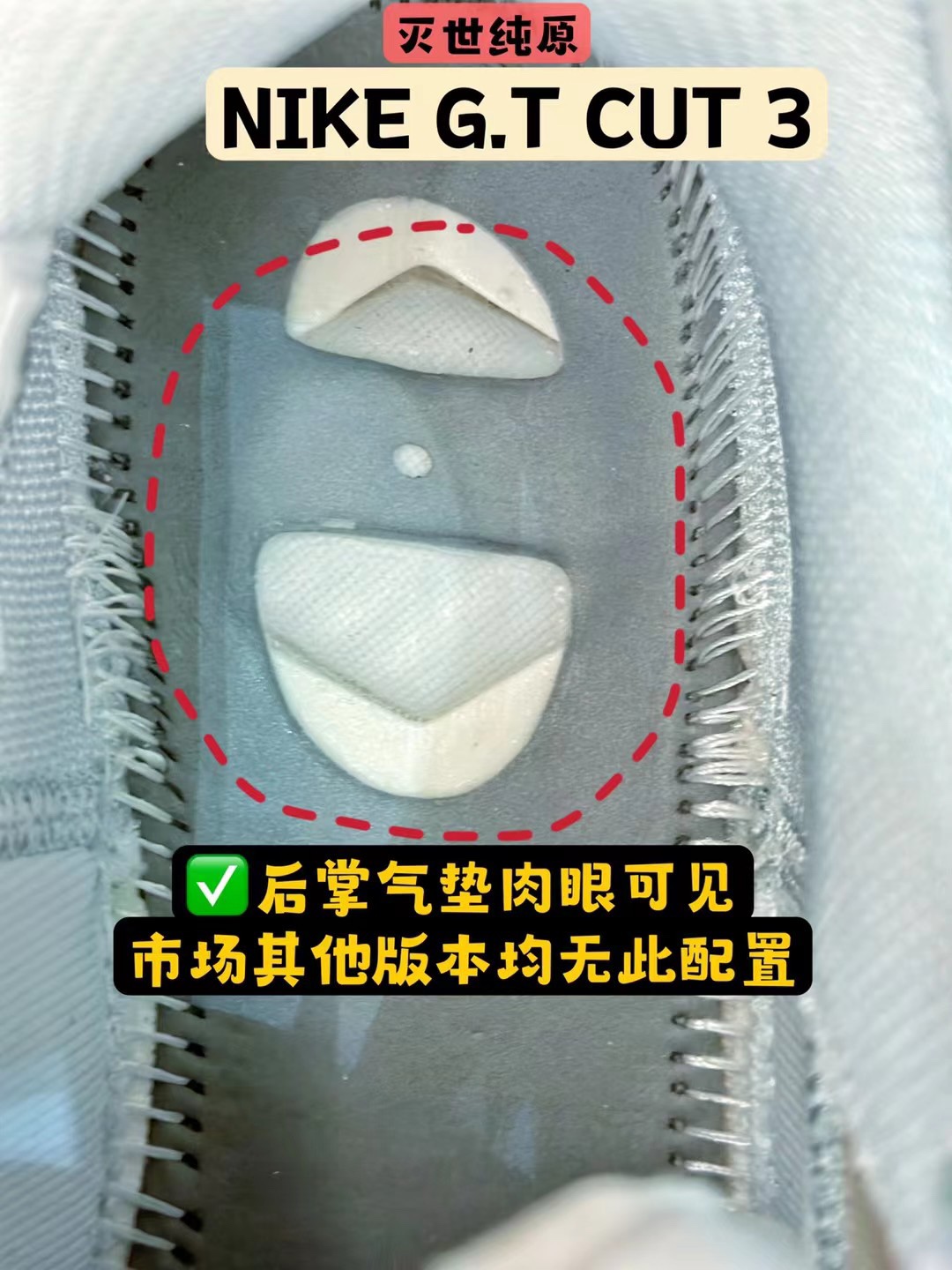  灭世纯原 ZOOM GT Cut 3  中筒  篮球鞋 球鞋 实战鞋 全掌气垫 后卫精英 TPU抗扭 男鞋 波鞋称霸全国 白黑金 HF5702-170