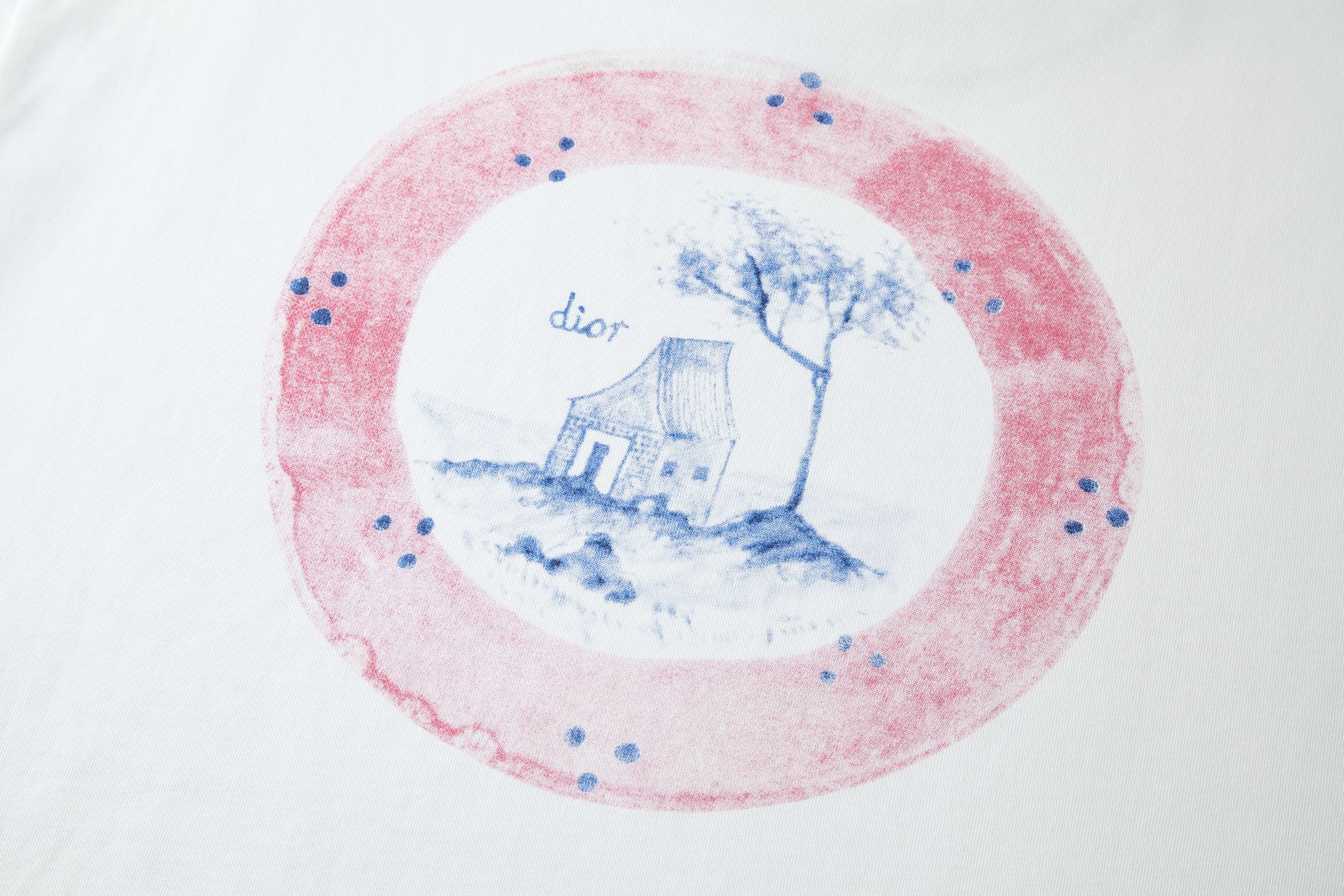 DIOR 迪奥 植物印花 圆领 T恤 夏季 短袖 白色 蓝色-A5
