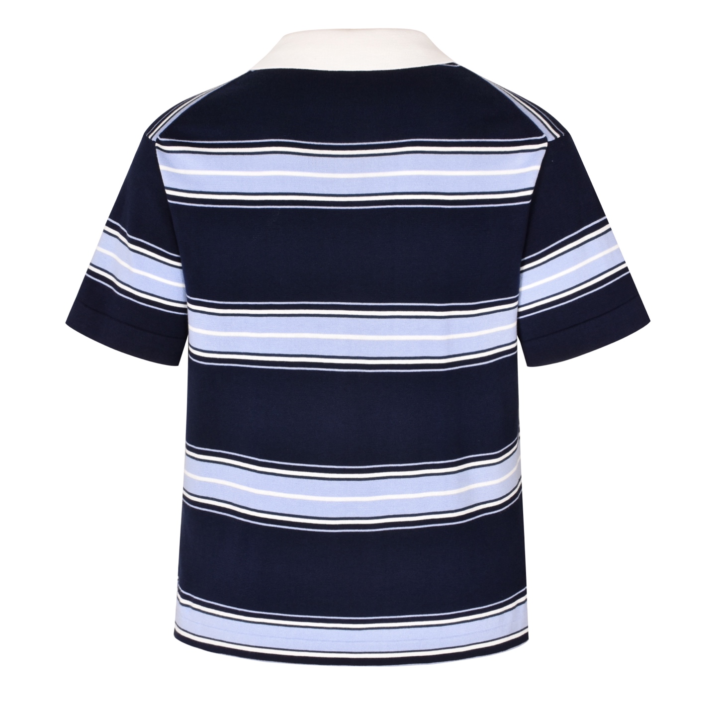 DIOR 迪奥铃兰刺绣条纹针织 polo  T恤 棉质夏季 短袖  蓝色A5  