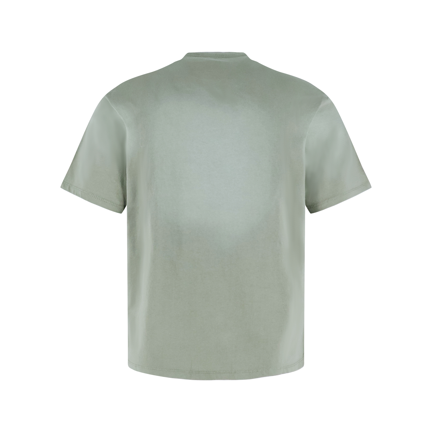 Loewe Grateful Dead Paula's lbiza SS25 罗意威 跳舞小熊 羽毛印花 短袖 T恤 圆领夏季 绿色A2 H616Y22XA1-8727