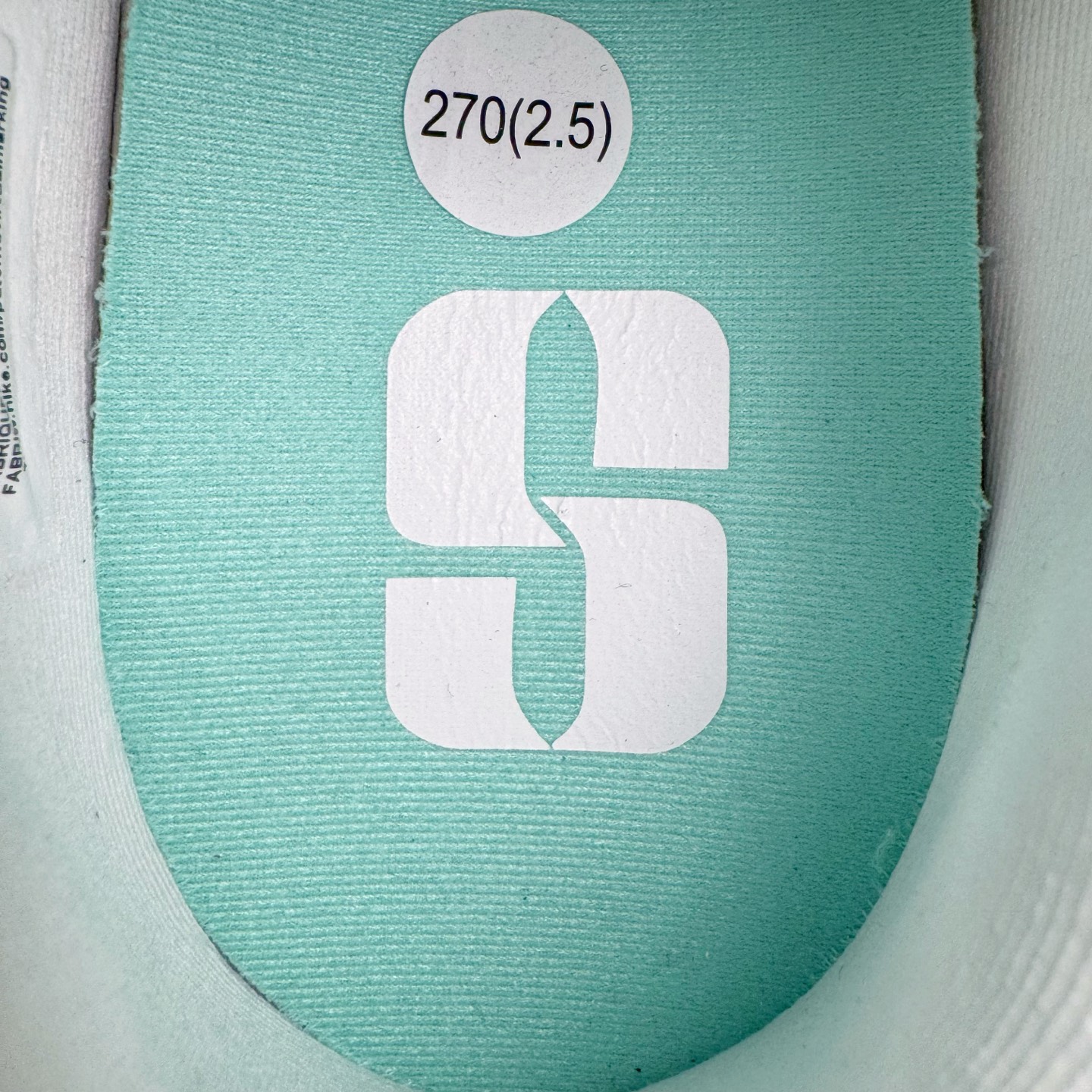 Sabrina 2 Colour Vision 低筒 萨布丽娜二代 前掌扇形zoom  后掌马蹄ZOOM气垫 篮球鞋 波鞋 男鞋  白色FZ1517-101