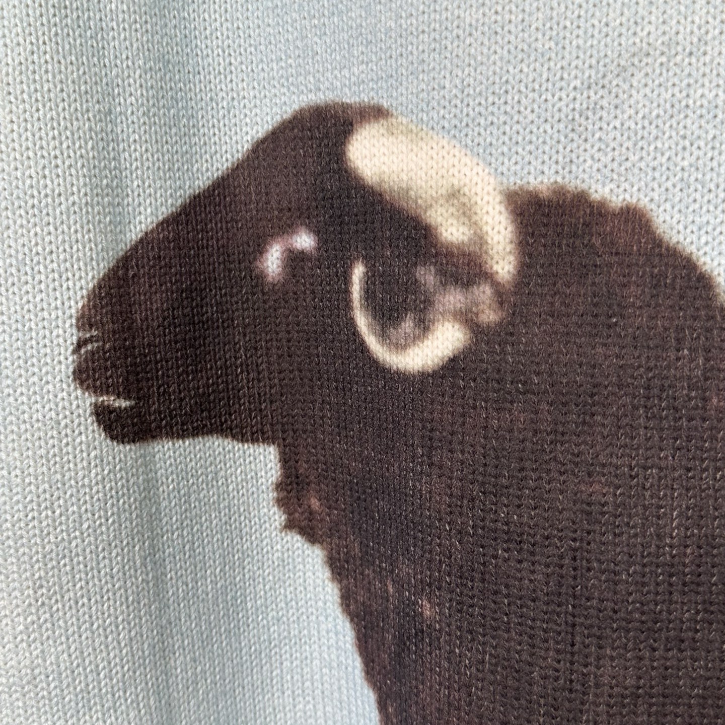 SupremexDamien Hirst 联名款 SS25 WEEK1 Sweater动物图案舒适套头长袖美式潮流毛衣  男女同款  SUP-SS25-003