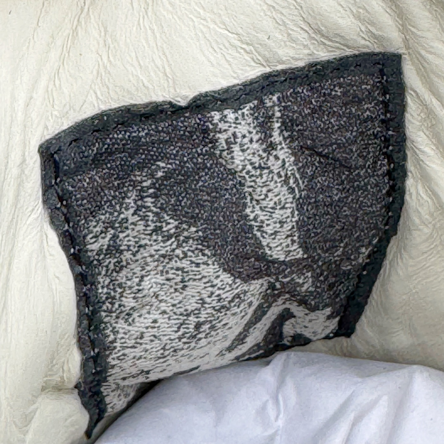 RICK OWENS DRKSHDW RO 圆头 低筒  板鞋 休闲鞋 波鞋 男鞋 女鞋 帆布 白色 皮质 RU01E5891LCO-1111