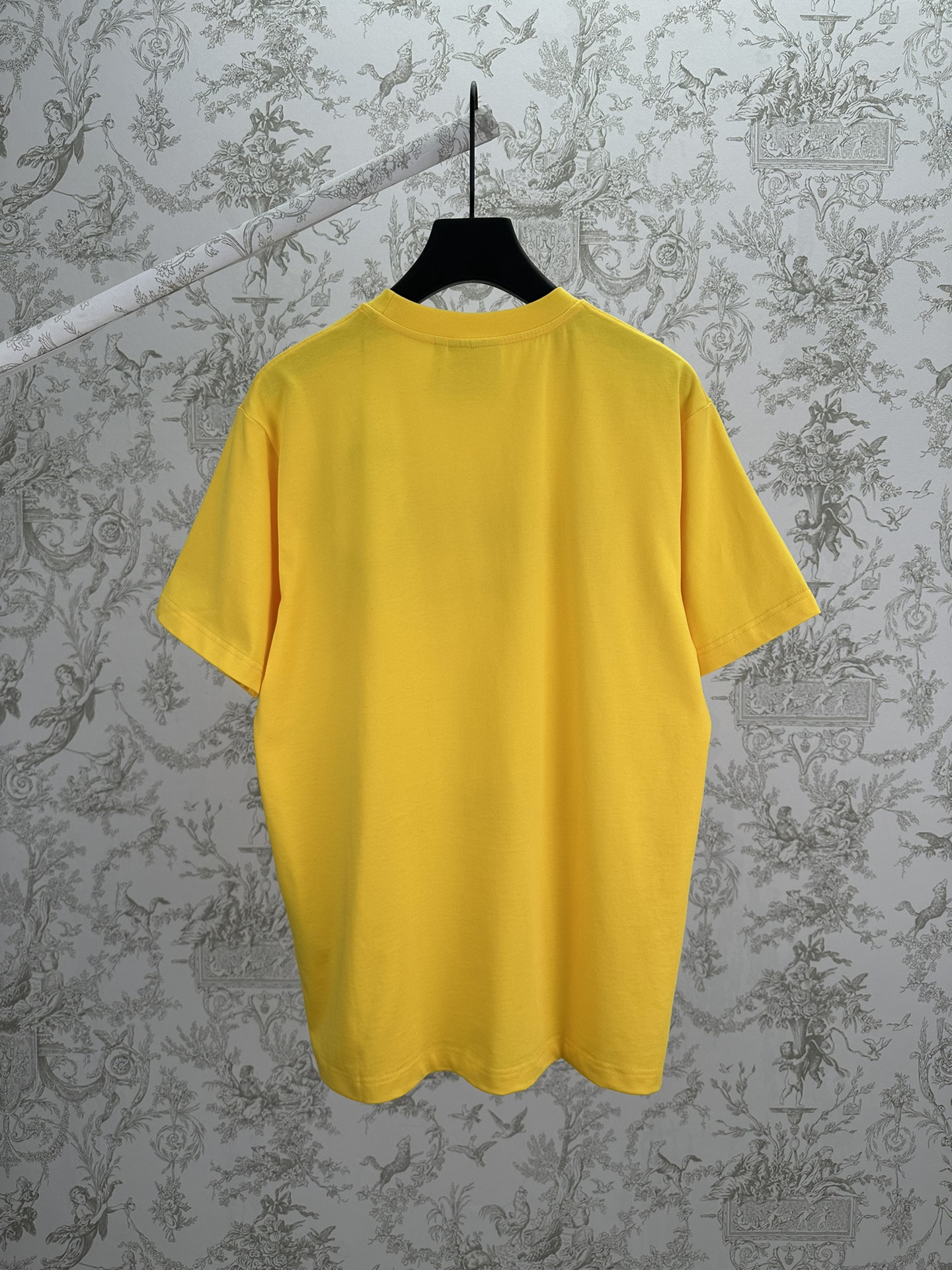 DIOR 迪奥 Dracula  短袖 T恤 棉质夏季 黄色 A0 