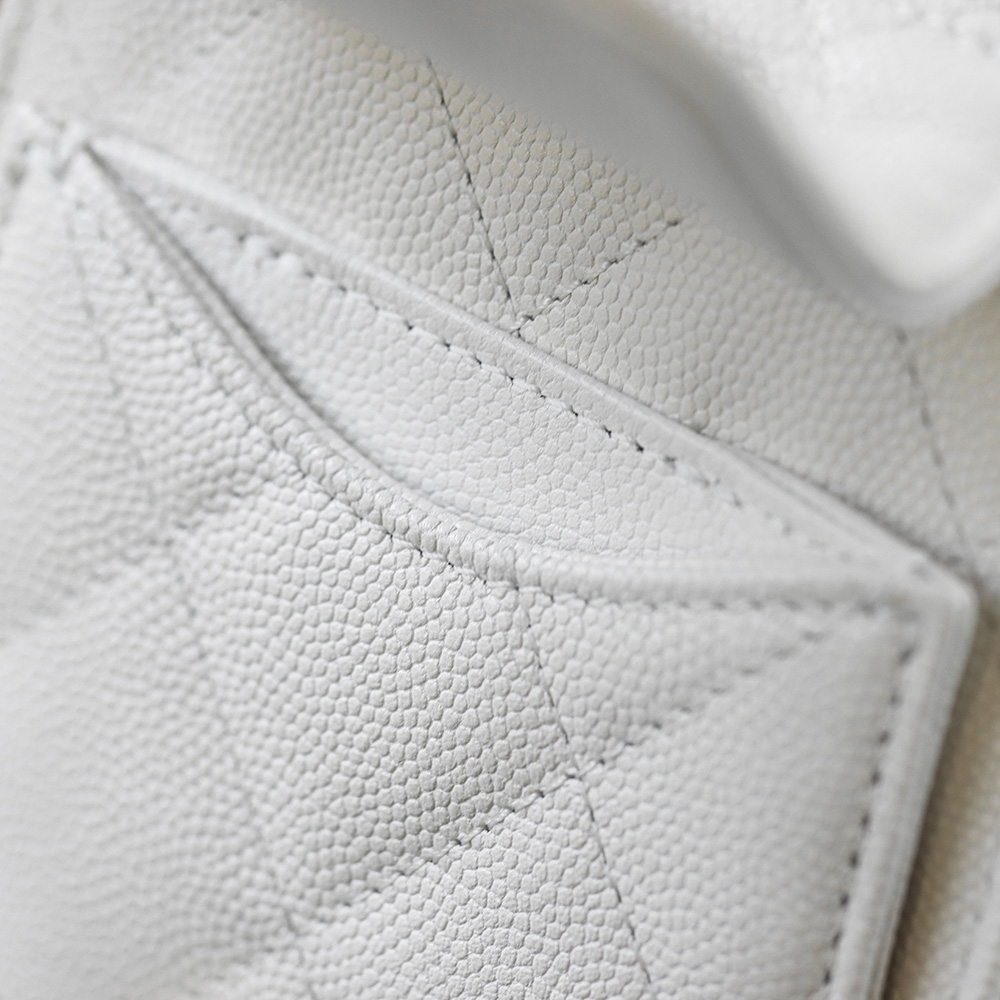 顶规 Chanel 香奈儿 25bag mini  26 金标双C  头层皮 手提袋 斜挎包 包包  白色 AS5631-B20304-U6544