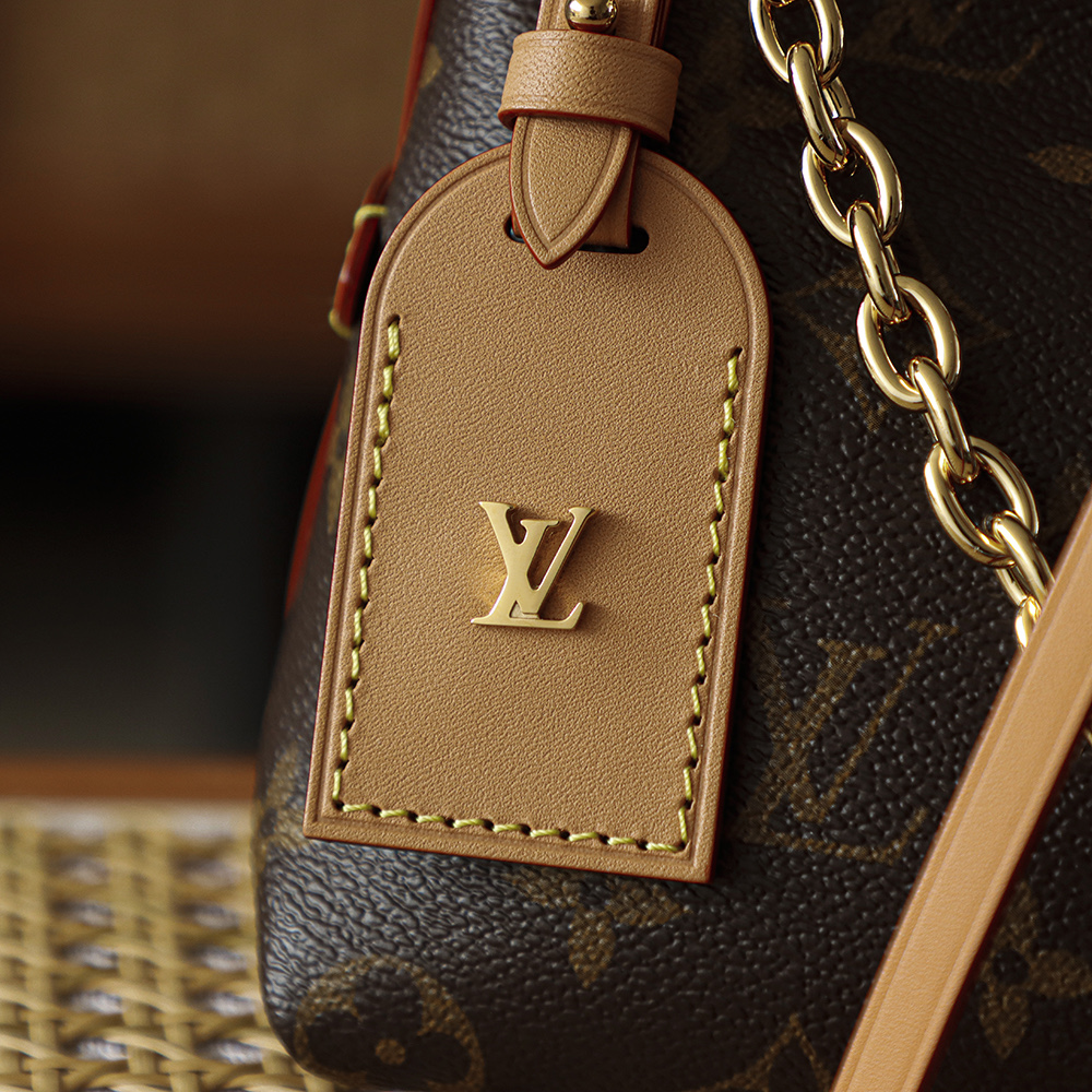Louis Vuitton Carryall BB LV Travel Bag — Monogram Canvas with Gold-Tone Hardware — 1:1 Top-Tier Replica (A0 M13014)