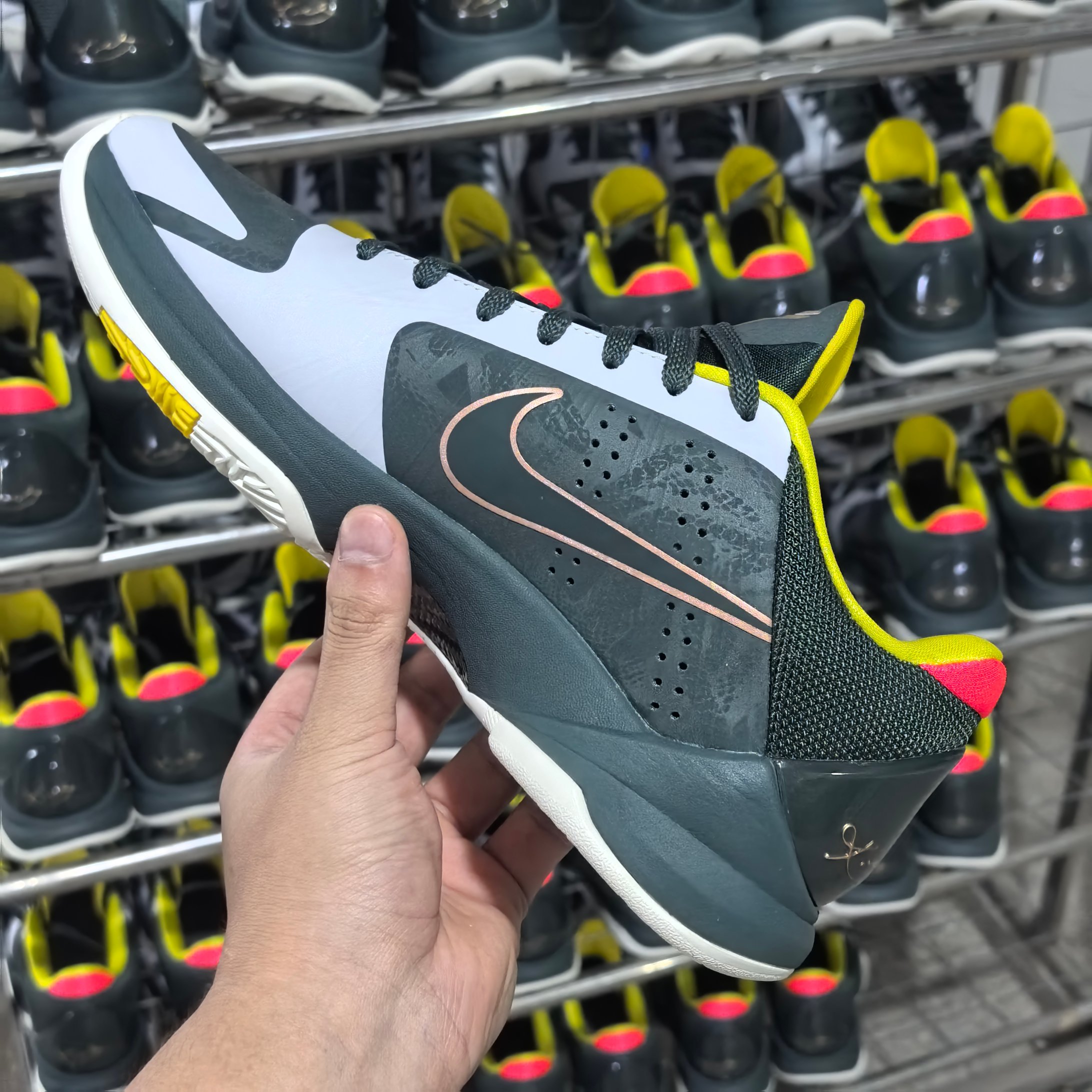 STAR S级 Kobe5 Protro  Forest Green 前掌气垫 后掌EVA 籃球鞋 球鞋 實戰鞋  真碳板  波鞋  EYBL灰绿 CD4991-300