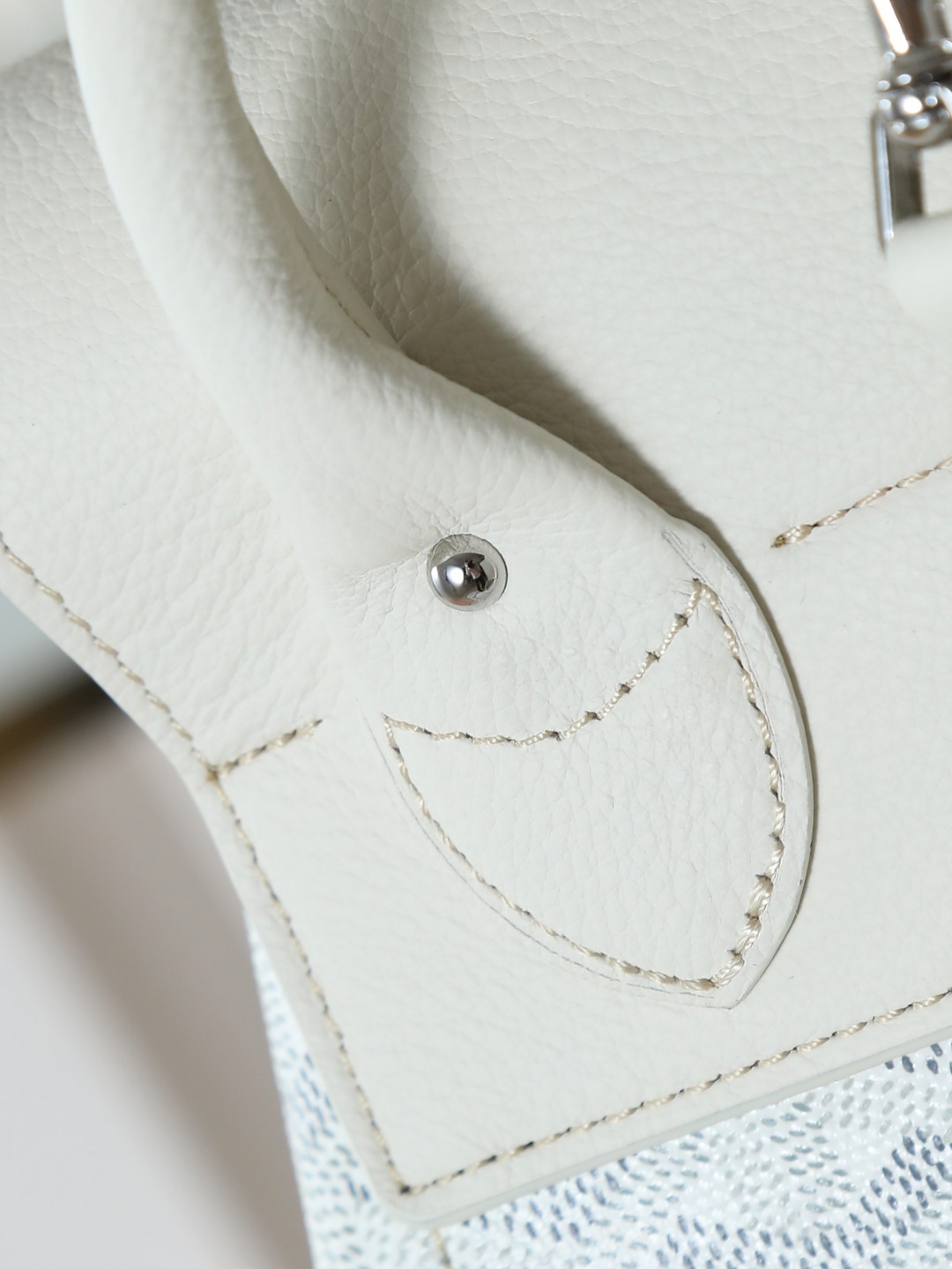 戈雅 GOYARD Alpin Mini Backpack – Monogram Canvas & Leather Trim (Unisex) H0 ALPIN2MINTY-50CL50P