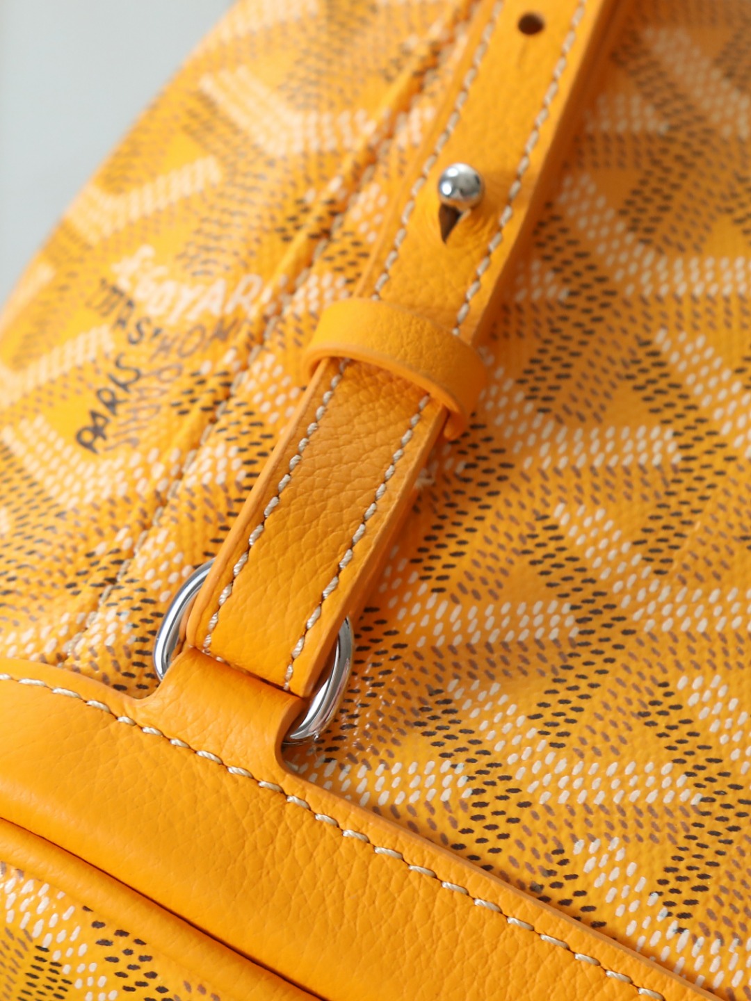 戈雅 GOYARD Alpin Mini Backpack – Monogram Canvas & Leather Trim (Unisex) H0 ALPIN2MINTY-08CL08P