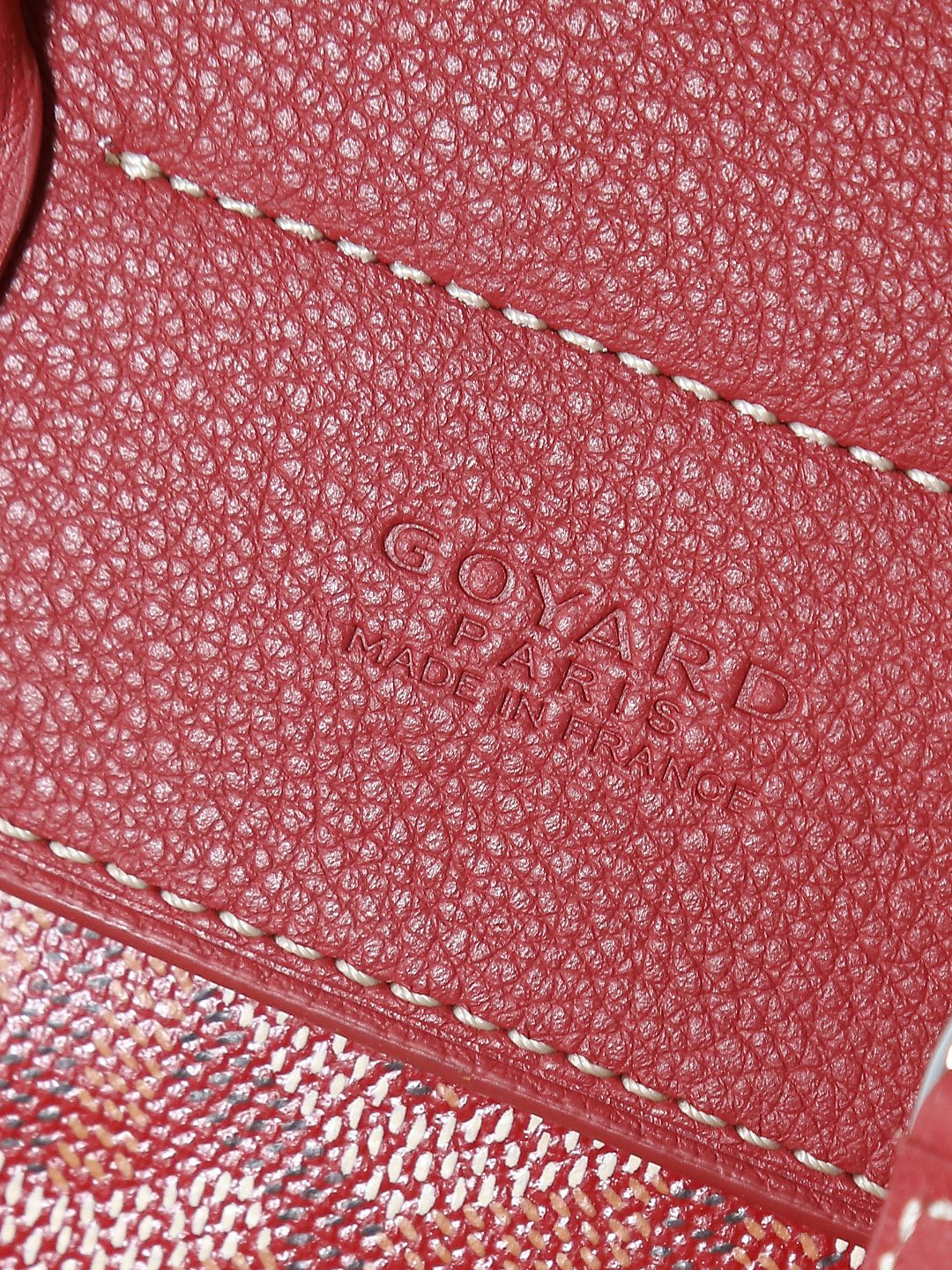 戈雅 GOYARD Alpin Mini Backpack – Monogram Canvas & Leather Trim (Unisex) H0 ALPIN2MINTY-02CL02P