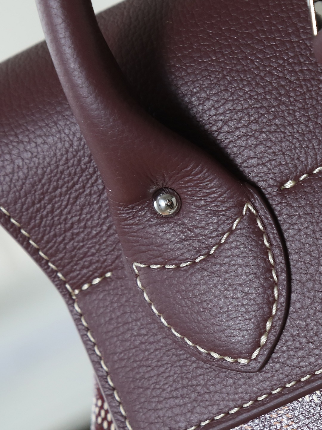 戈雅 GOYARD Alpin Mini Backpack – Monogram Canvas & Leather Trim (Unisex) H0 ALPIN2MINTY-33CL33P
