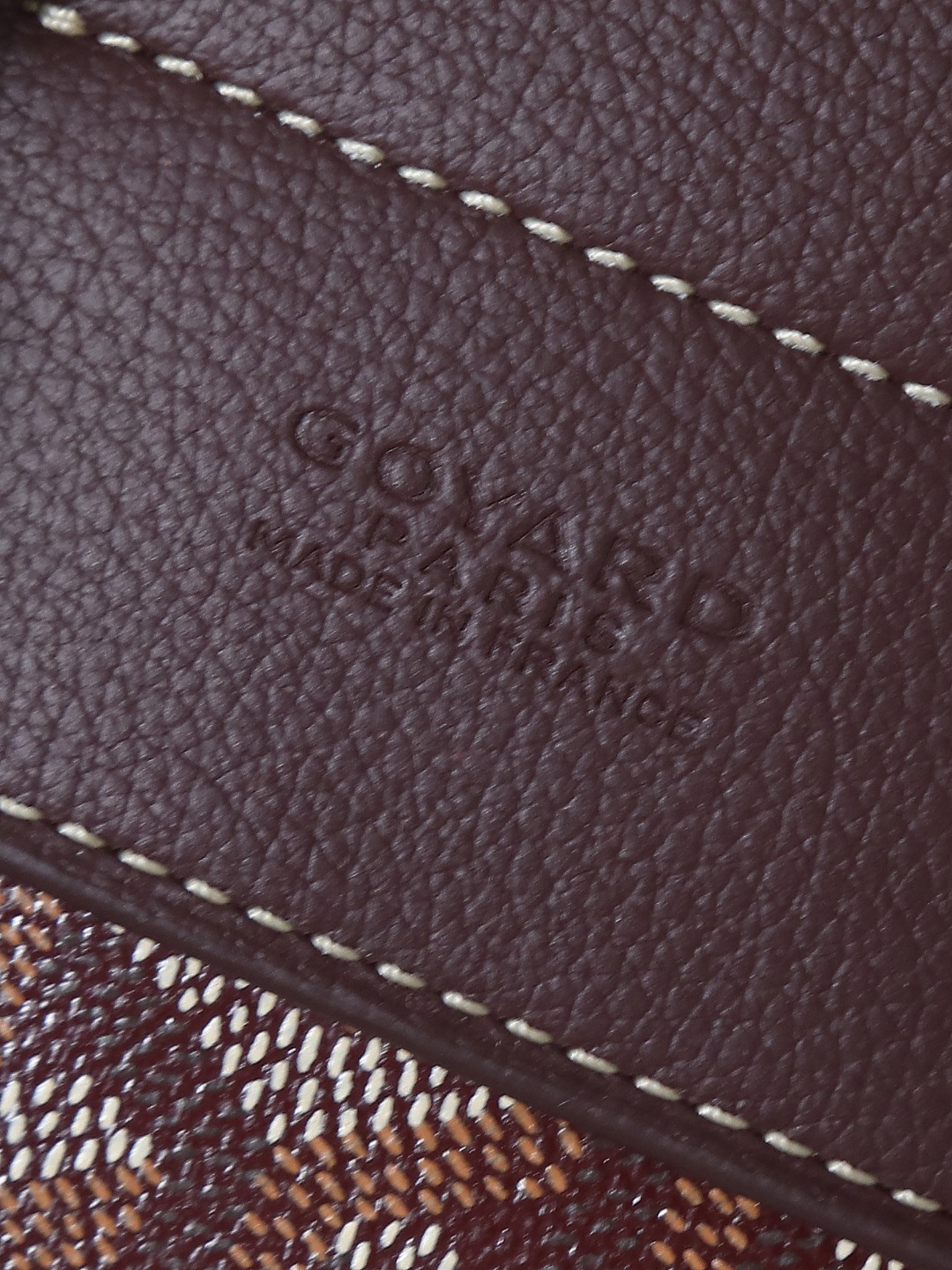 戈雅 GOYARD Alpin Mini Backpack – Monogram Canvas & Leather Trim (Unisex) H0 ALPIN2MINTY-33CL33P