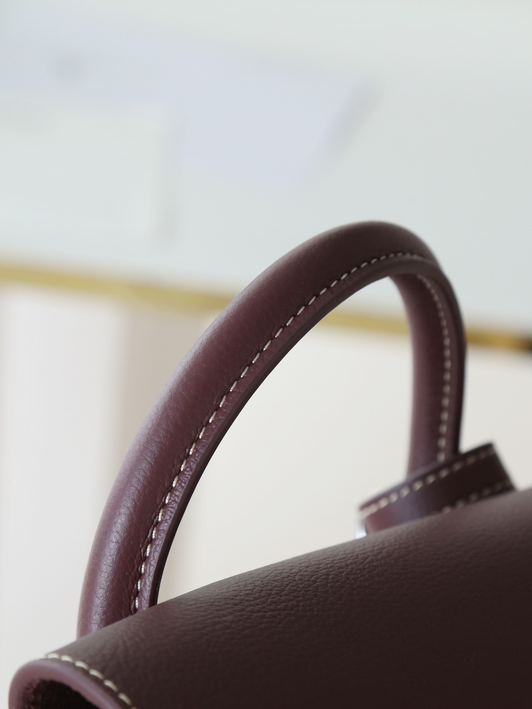 戈雅 GOYARD Alpin Mini Backpack – Monogram Canvas & Leather Trim (Unisex) H0 ALPIN2MINTY-33CL33P