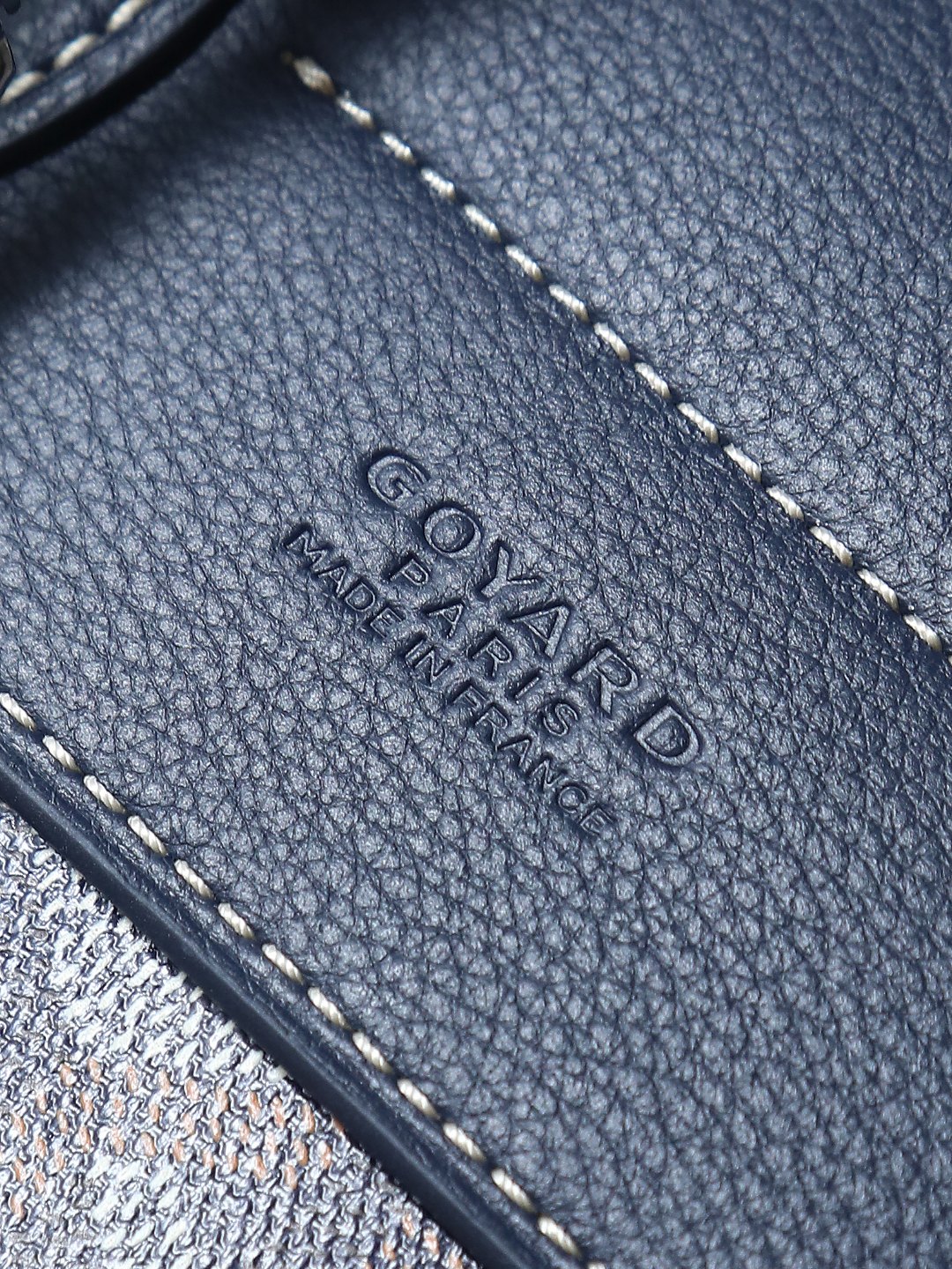 戈雅 GOYARD Alpin Mini Backpack – Monogram Canvas & Leather Trim (Unisex) H0 ALPIN2MINTY-12CL12P