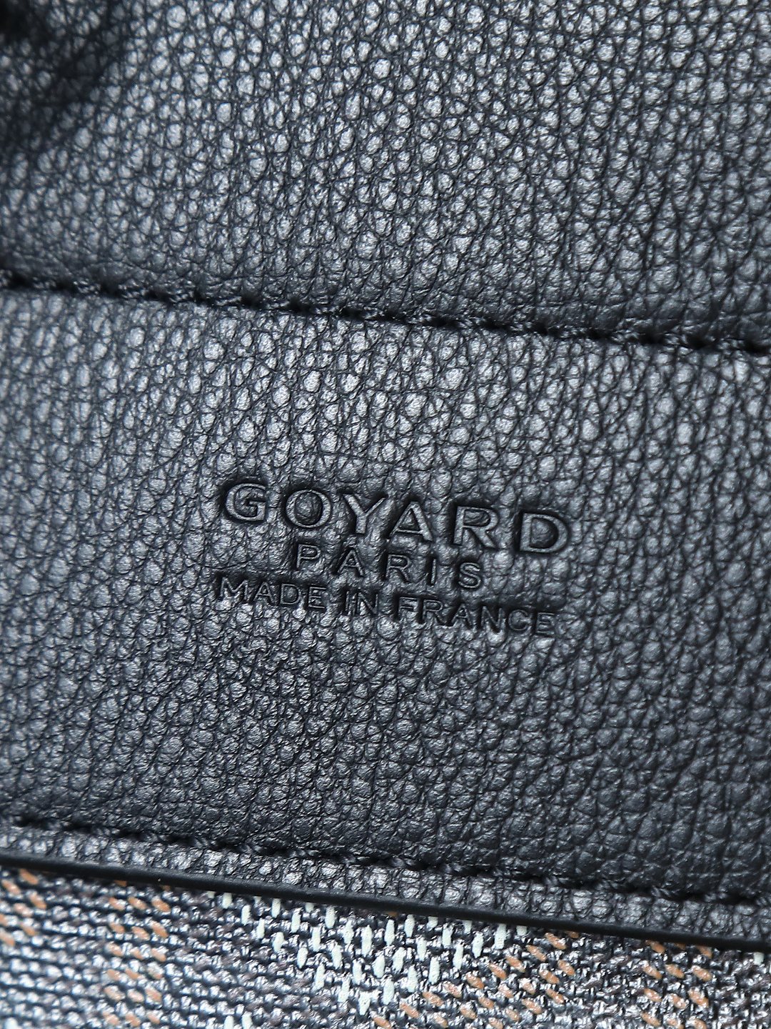 戈雅 GOYARD Alpin Mini Backpack – Monogram Canvas & Leather Trim (Unisex) H0 ALPIN2MINTY
