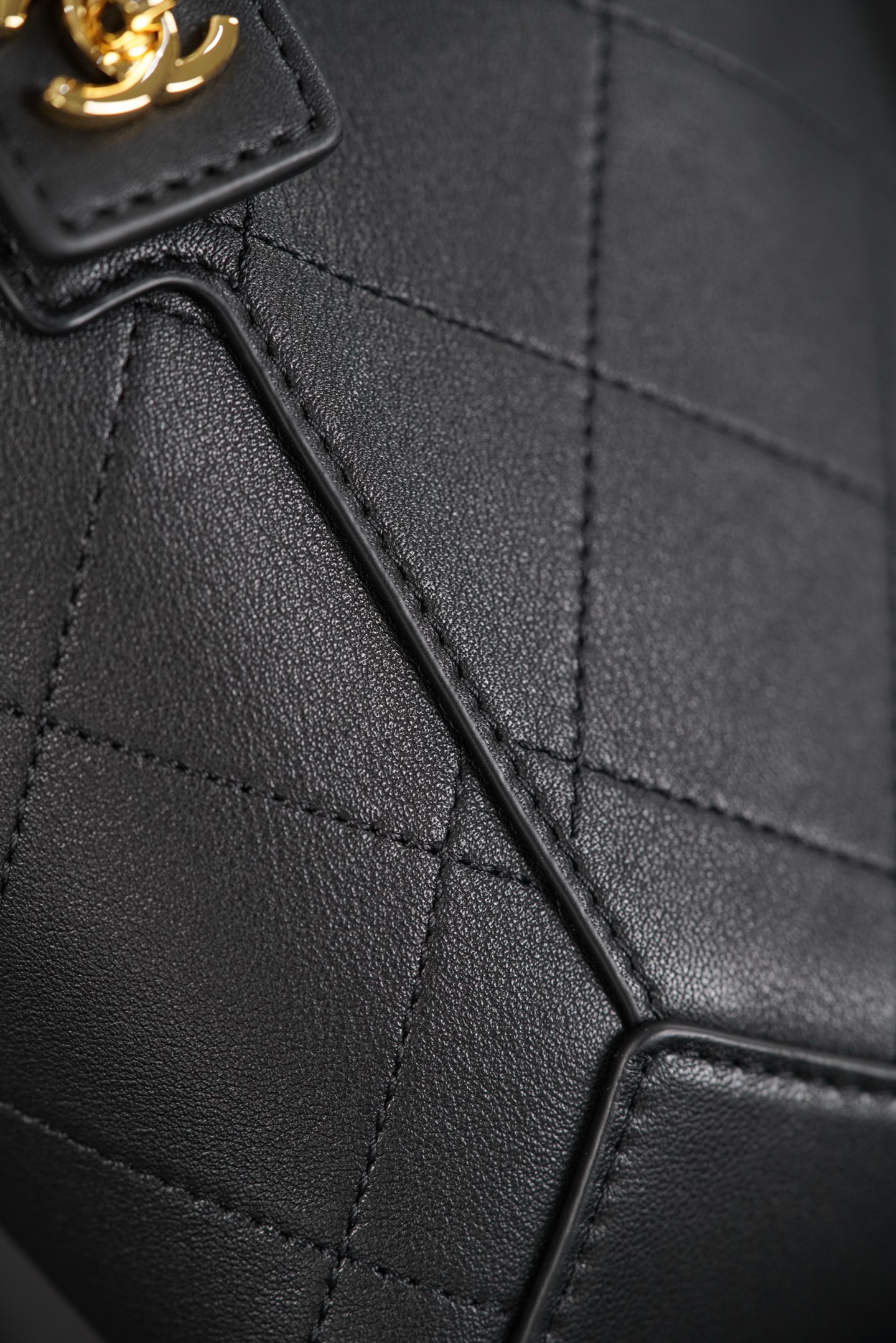 Chanel 26P 隐藏款 hobo- Quilted calfskin with gold-tone accents and the double-C logo- 单肩包 A0  