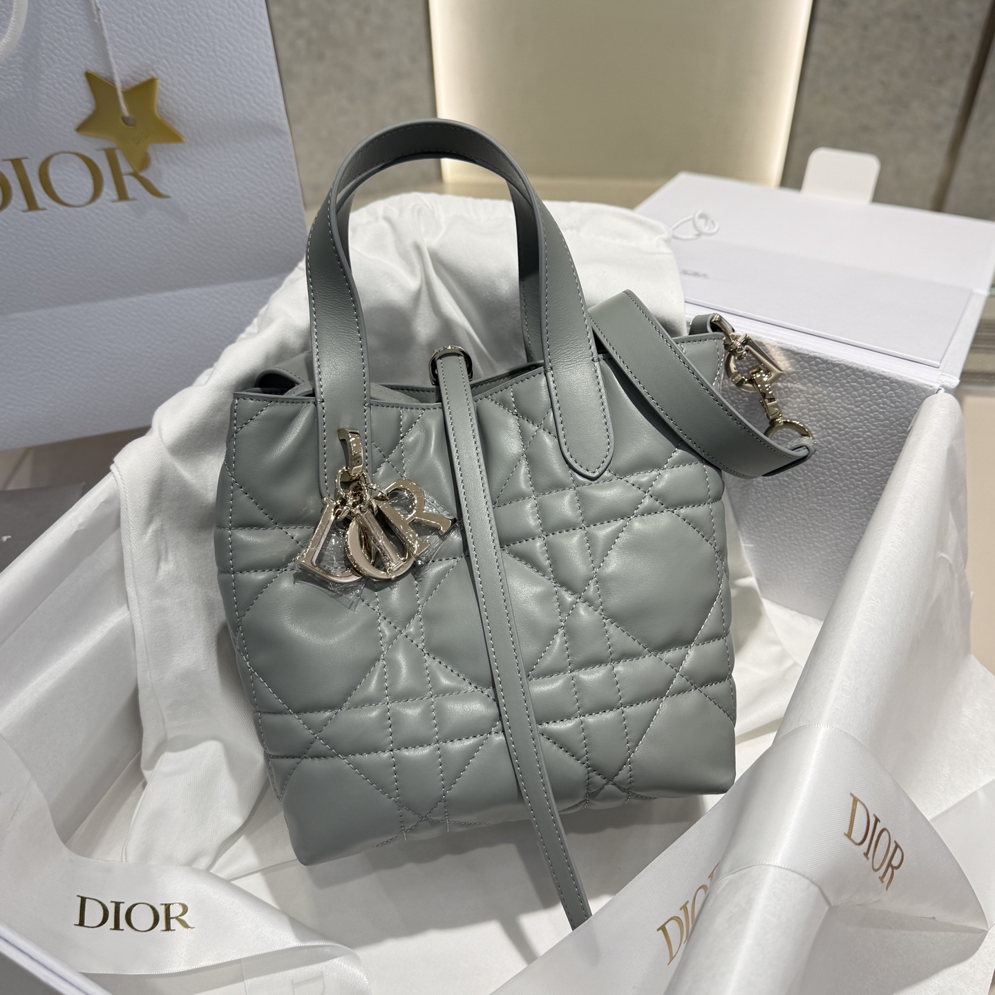 DIOR 迪奥菜篮子 small- Toujours CD Lock Calfskin Tote Bag (Shoulder/Hand-Carry)-F0- M2835OSNW-M41G