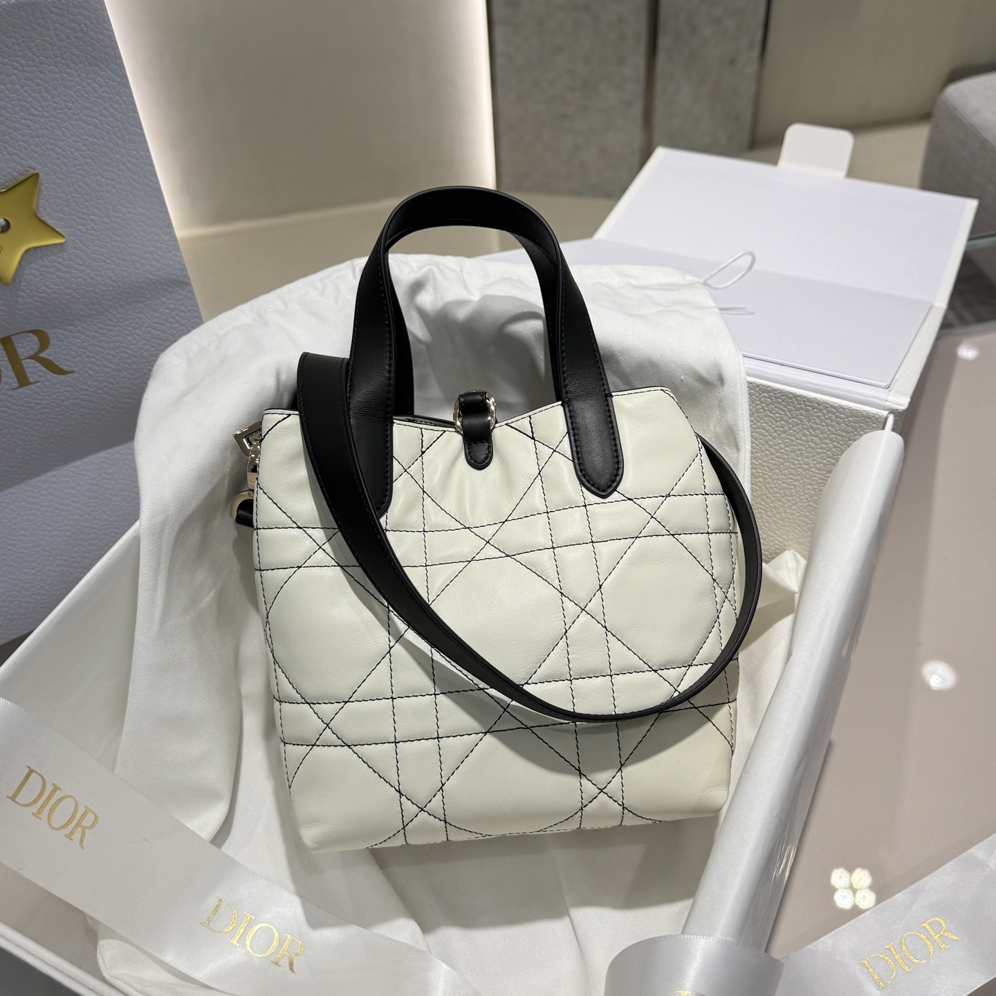 DIOR 迪奥菜篮子 small- Toujours CD Lock Calfskin Tote Bag (Shoulder/Hand-Carry)-F0- M2835PSOB-M06E