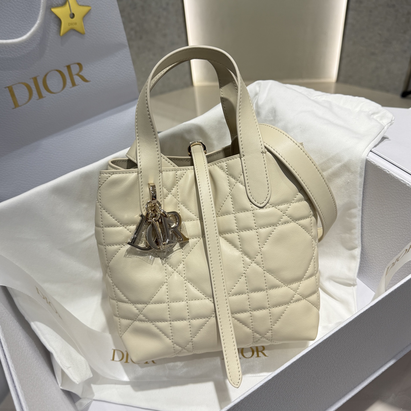 DIOR 迪奥菜篮子 small- Toujours CD Lock Calfskin Tote Bag (Shoulder/Hand-Carry)-F0- M2835OSNW_M79U