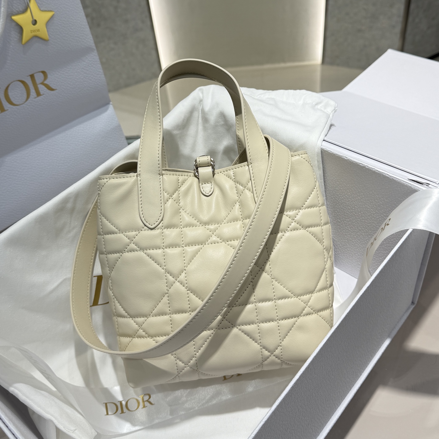 DIOR 迪奥菜篮子 small- Toujours CD Lock Calfskin Tote Bag (Shoulder/Hand-Carry)-F0- M2835OSNW_M79U