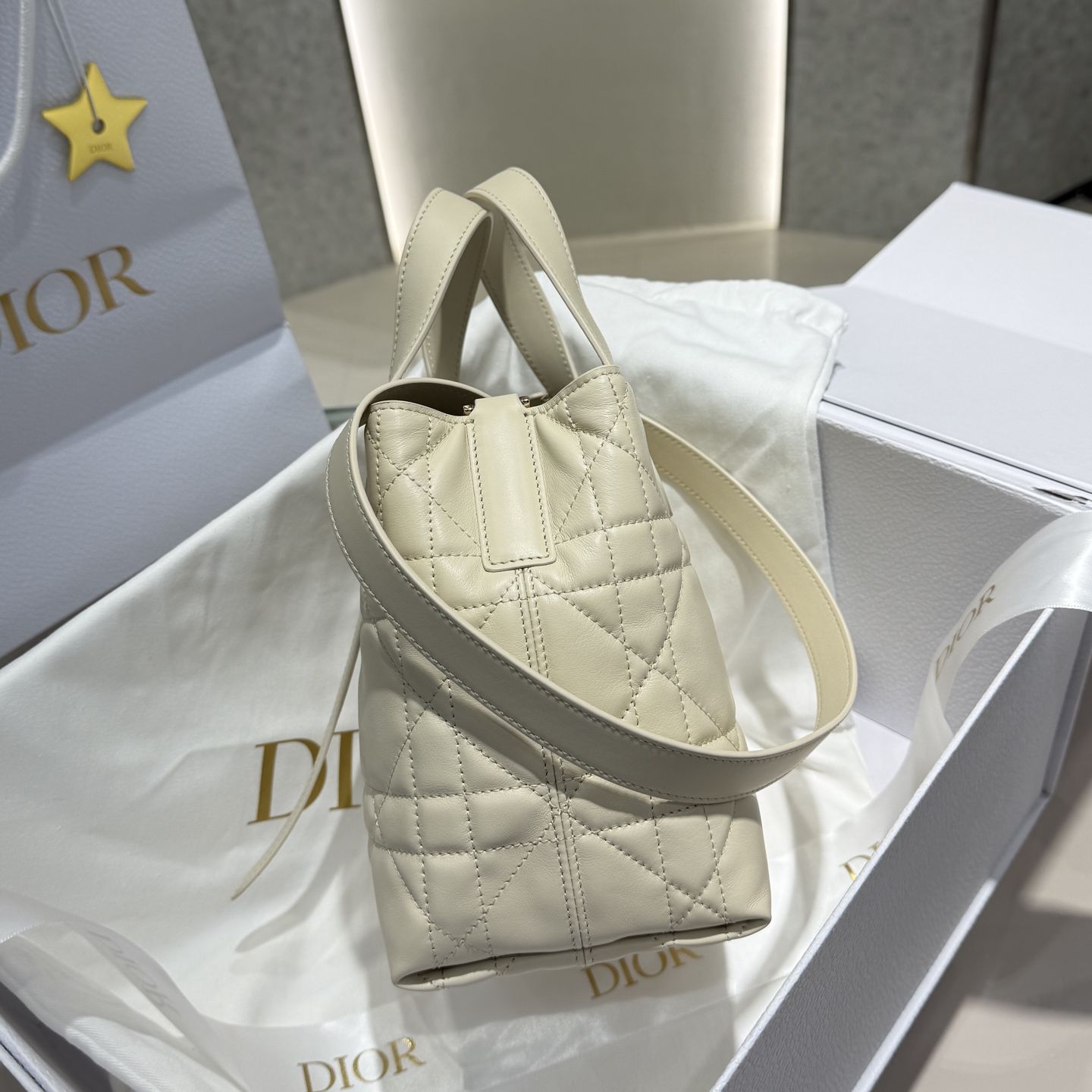 DIOR 迪奥菜篮子 small- Toujours CD Lock Calfskin Tote Bag (Shoulder/Hand-Carry)-F0- M2835OSNW_M79U