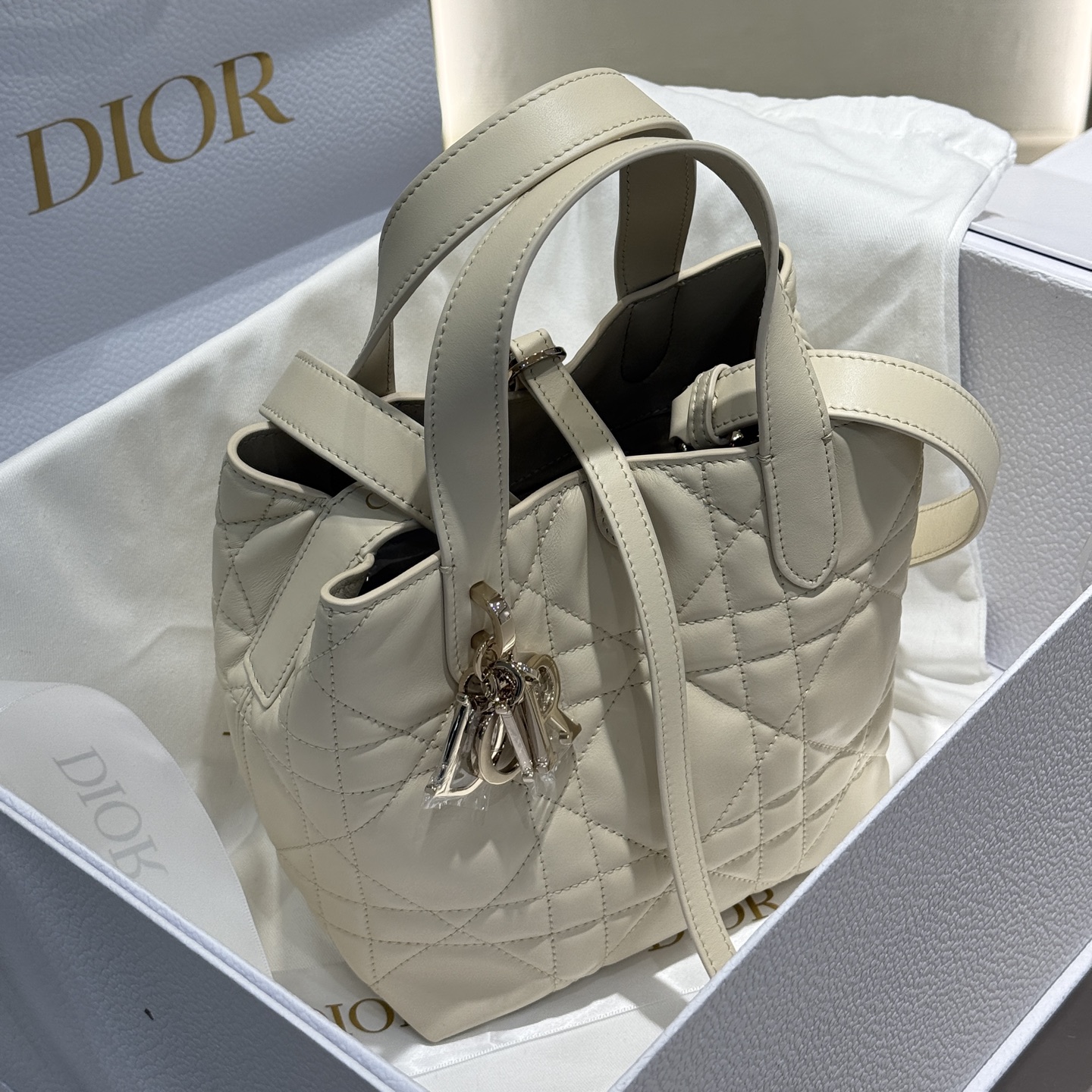 DIOR 迪奥菜篮子 small- Toujours CD Lock Calfskin Tote Bag (Shoulder/Hand-Carry)-F0- M2835OSNW_M79U