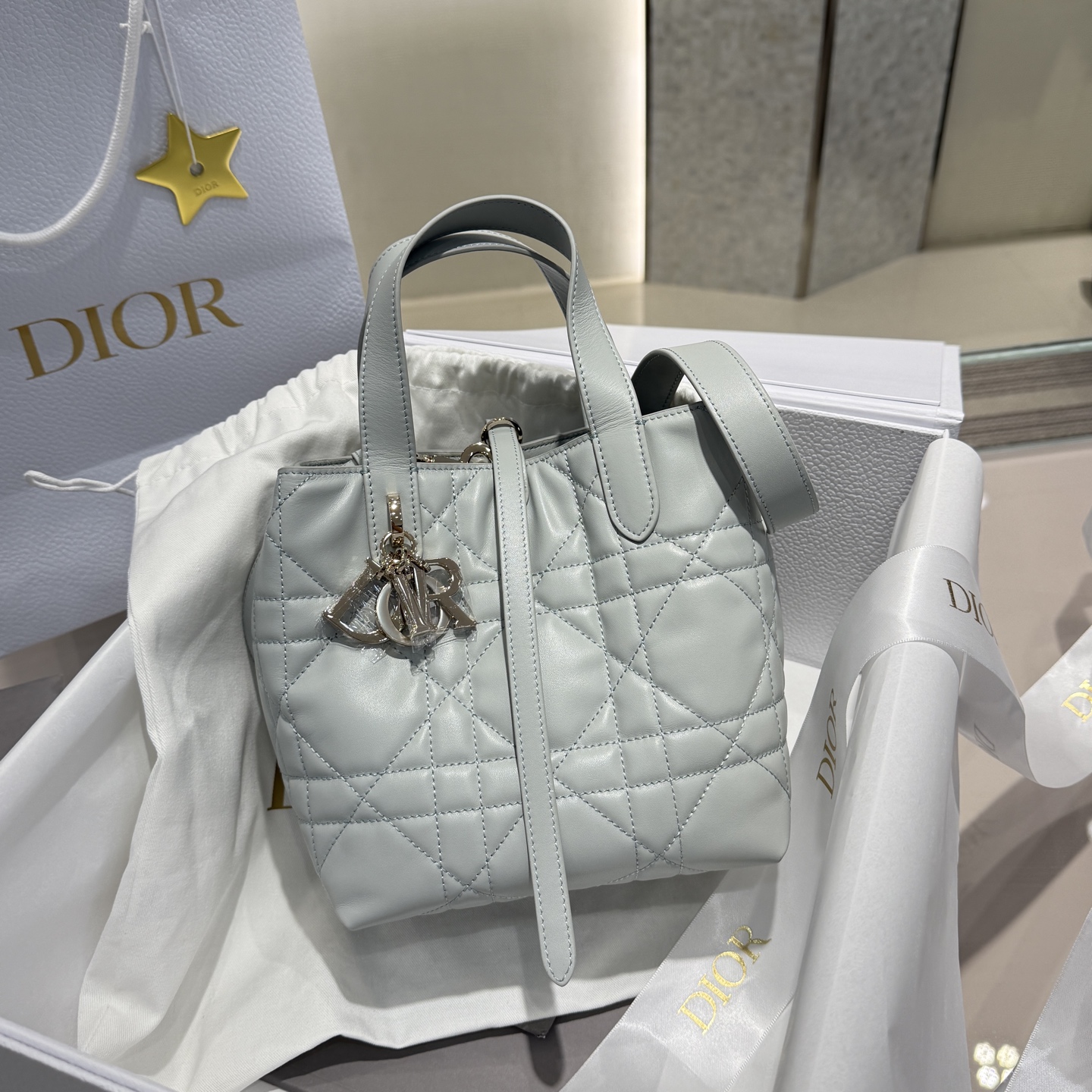 DIOR 迪奥菜篮子 small- Toujours CD Lock Calfskin Tote Bag (Shoulder/Hand-Carry)-F0- M2835PSNW-M39Z