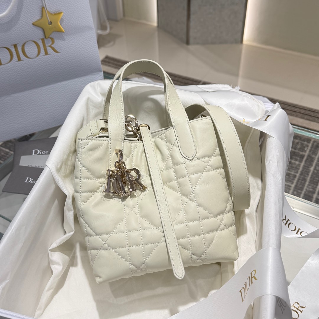 DIOR 迪奥菜篮子 small- Toujours CD Lock Calfskin Tote Bag (Shoulder/Hand-Carry)-F0- M2835OSNW-M030