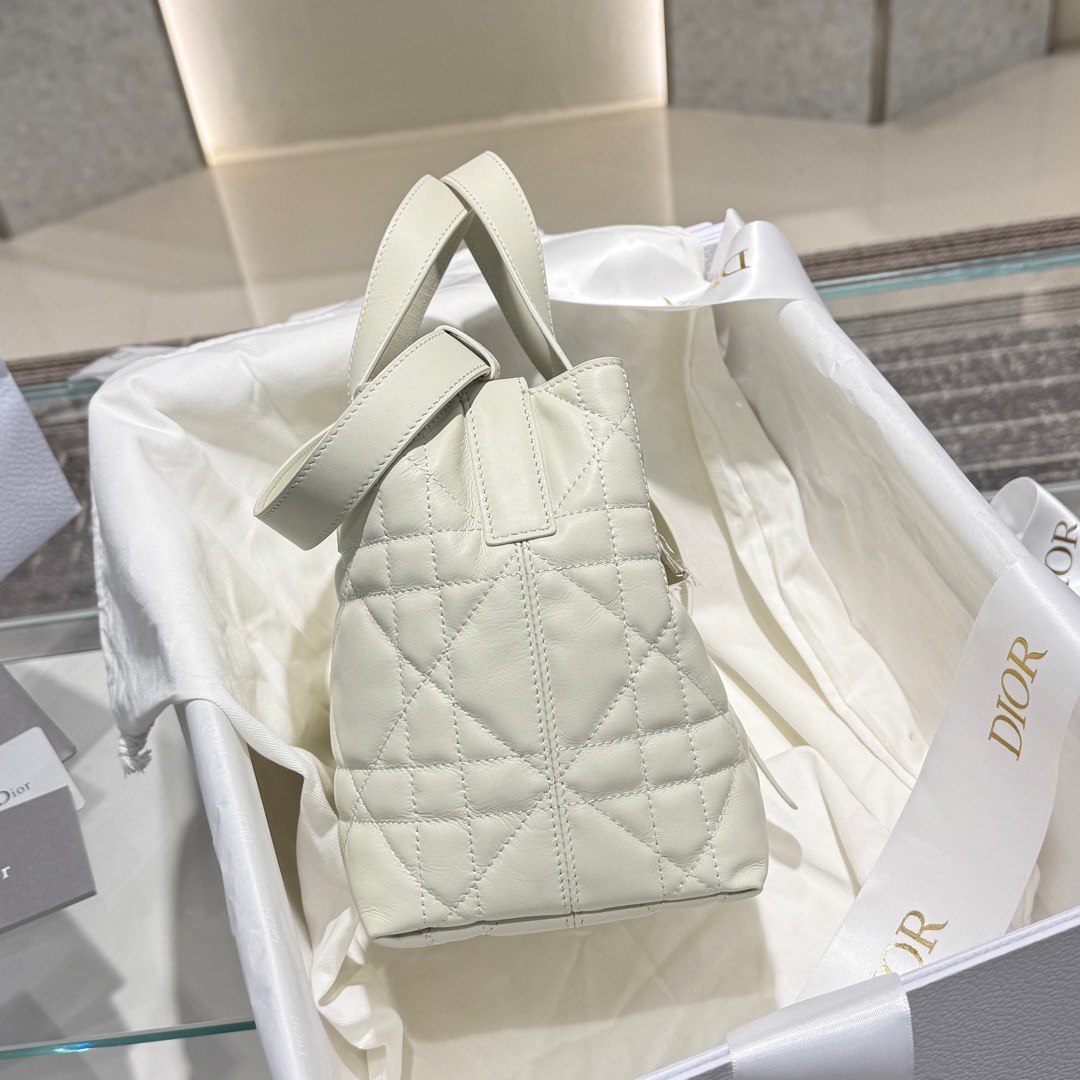 DIOR 迪奥菜篮子 small- Toujours CD Lock Calfskin Tote Bag (Shoulder/Hand-Carry)-F0- M2835OSNW-M030