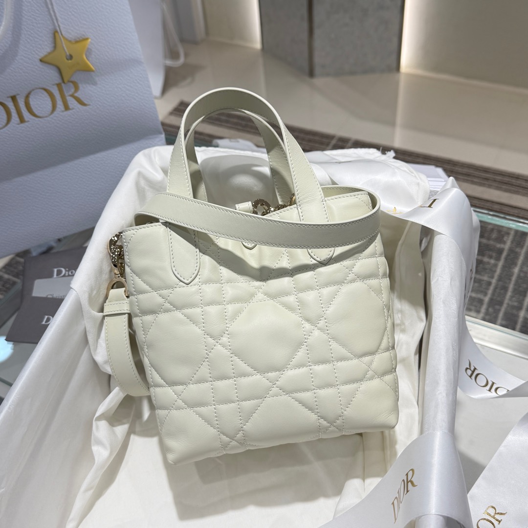 DIOR 迪奥菜篮子 small- Toujours CD Lock Calfskin Tote Bag (Shoulder/Hand-Carry)-F0- M2835OSNW-M030