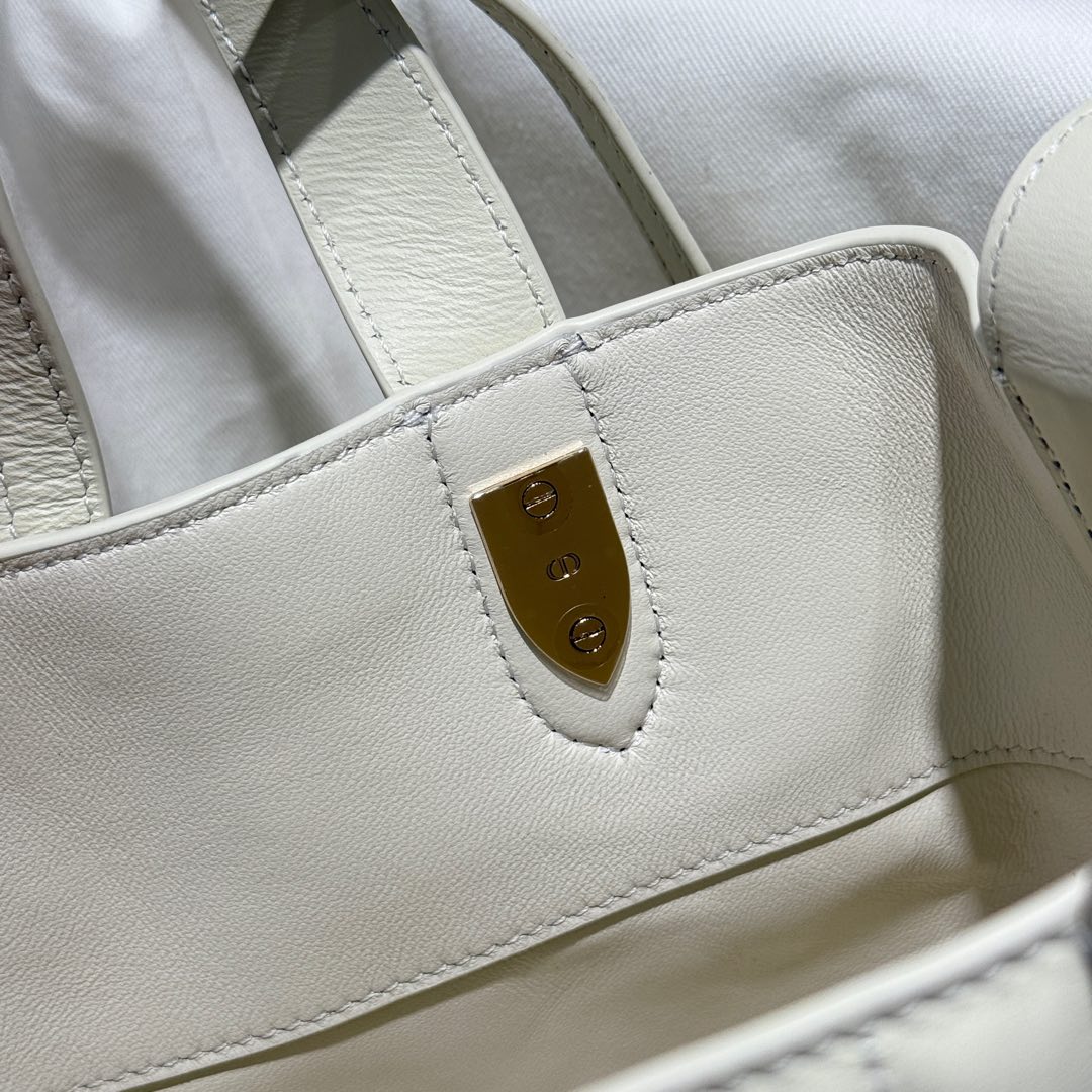 DIOR 迪奥菜篮子 small- Toujours CD Lock Calfskin Tote Bag (Shoulder/Hand-Carry)-F0- M2835OSNW-M030