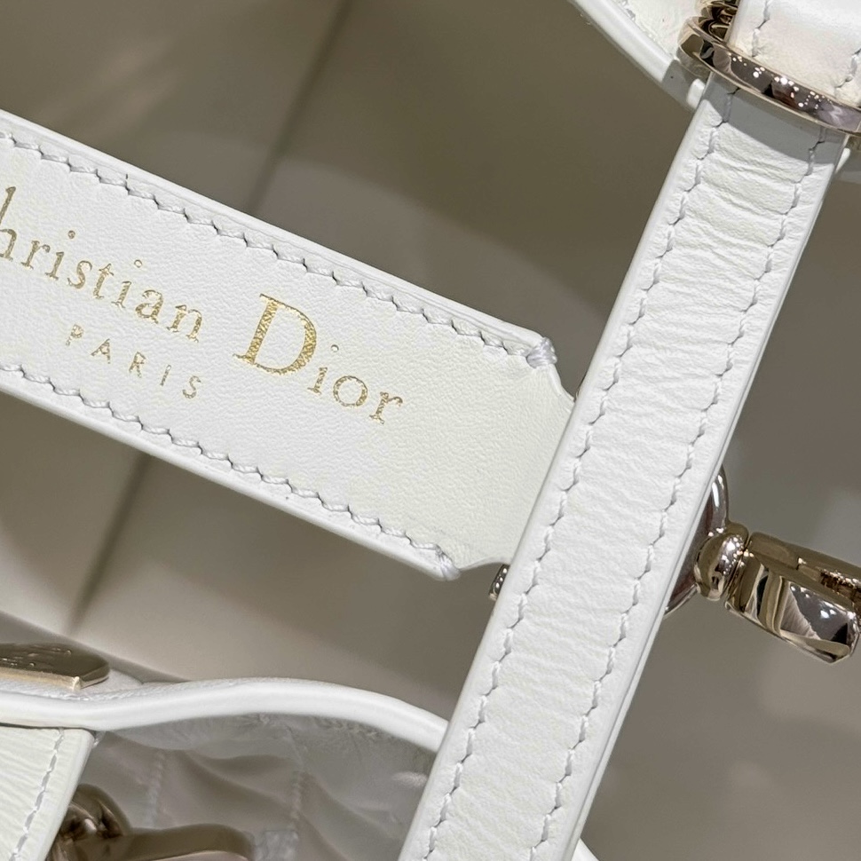 DIOR 迪奥菜篮子 small- Toujours CD Lock Calfskin Tote Bag (Shoulder/Hand-Carry)-F0- M2835OSNW-M030