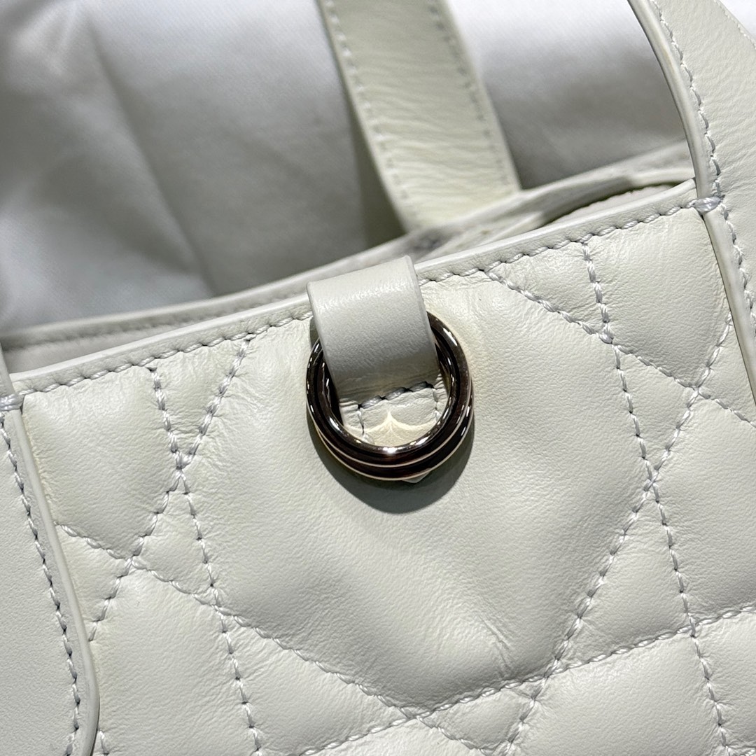 DIOR 迪奥菜篮子 small- Toujours CD Lock Calfskin Tote Bag (Shoulder/Hand-Carry)-F0- M2835OSNW-M030