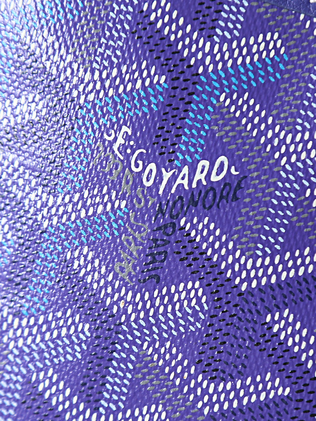 GOYARD 戈雅双面 Belvedere Reversible Mini Tote (Canvas and Leather) — Dual-use bag (handheld/shoulder carry)-F0-ANJCROMINCG
