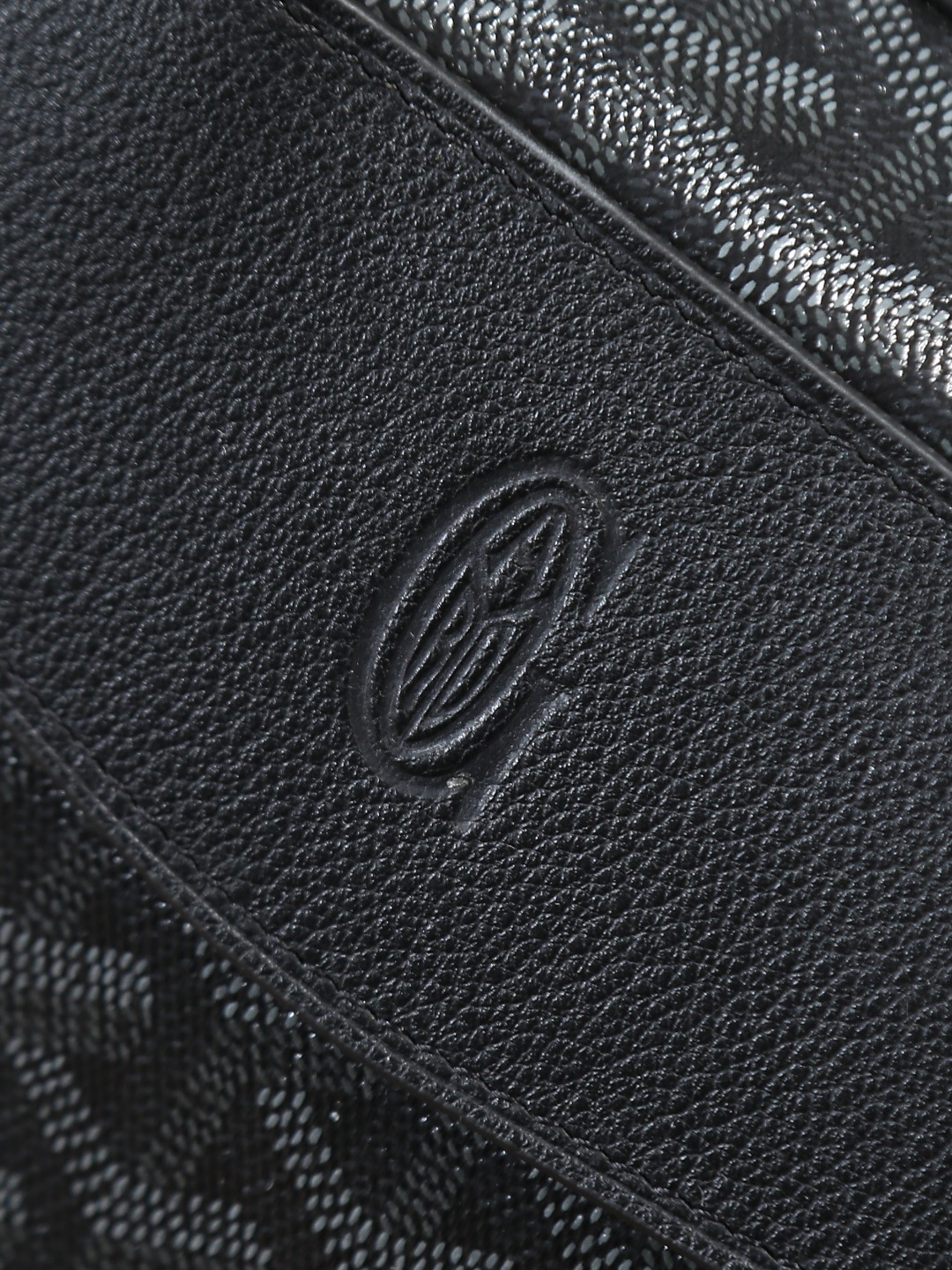 GOYARD 戈雅 双肩 Cisalpin (Canvas and Leather) — Backpack-F0-CISALPMMLTY