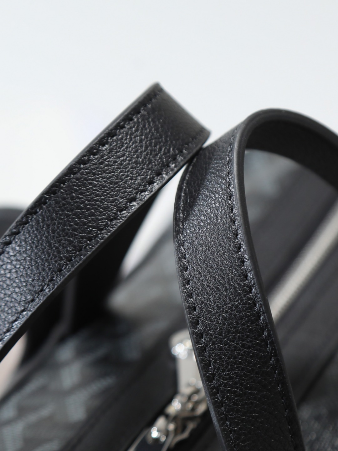 GOYARD 戈雅 双肩 Cisalpin (Canvas and Leather) — Backpack-F0-CISALPMMLTY