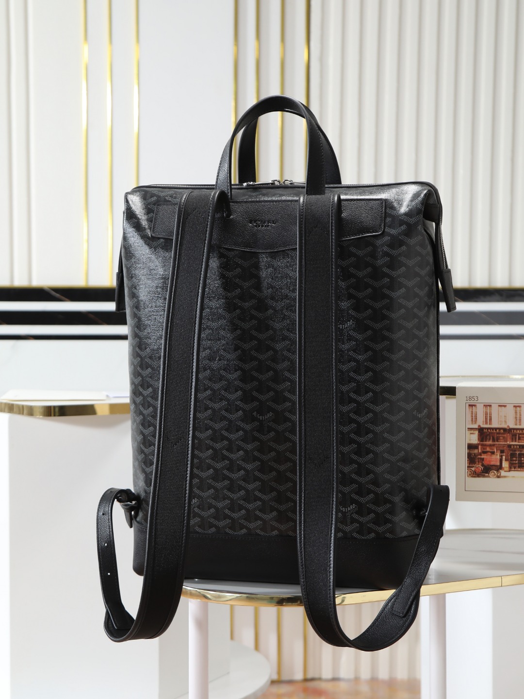 GOYARD 戈雅 双肩 Cisalpin (Canvas and Leather) — Backpack-F0-CISALPMMLTY