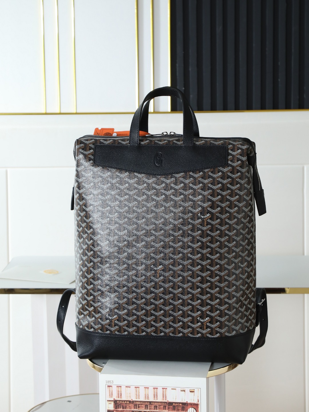 GOYARD 戈雅 双肩 Cisalpin (Canvas and Leather) — Backpack-F0-CISALPMMLTY