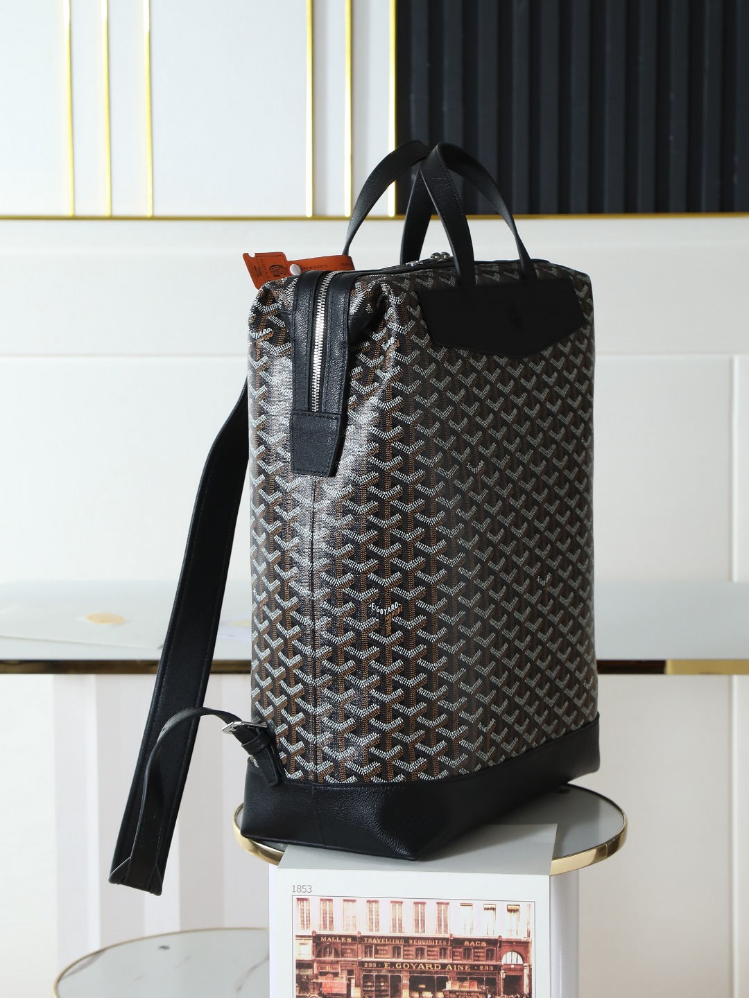 GOYARD 戈雅 双肩 Cisalpin (Canvas and Leather) — Backpack-F0-CISALPMMLTY