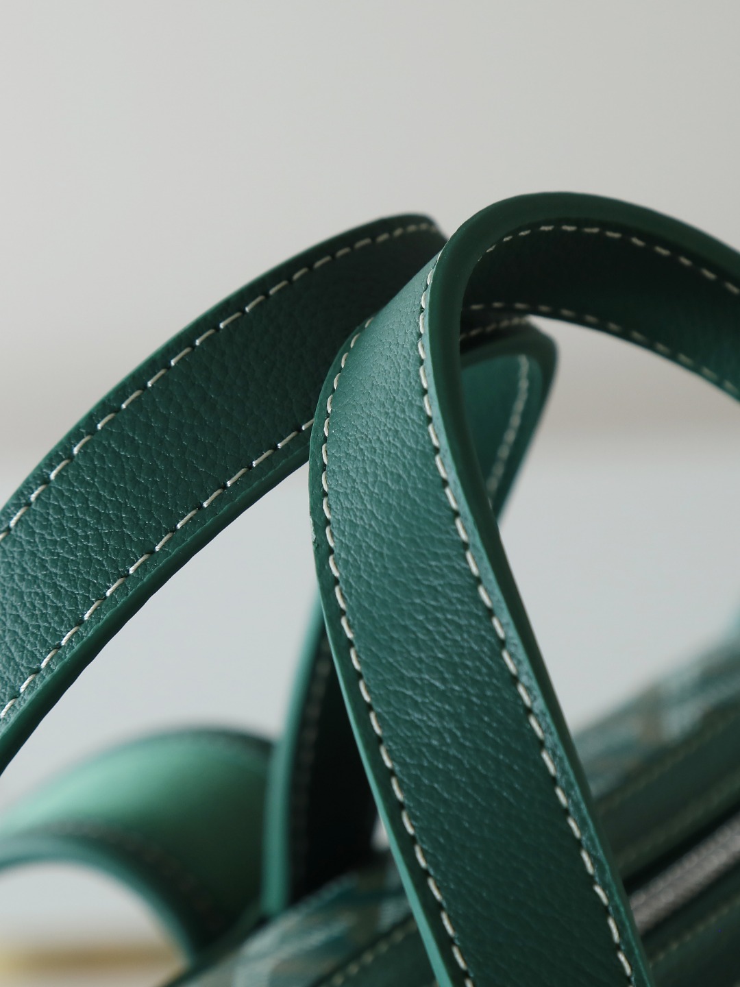 GOYARD 戈雅 双肩 Cisalpin (Canvas and Leather) — Backpack-F0-CISALPMMLTY