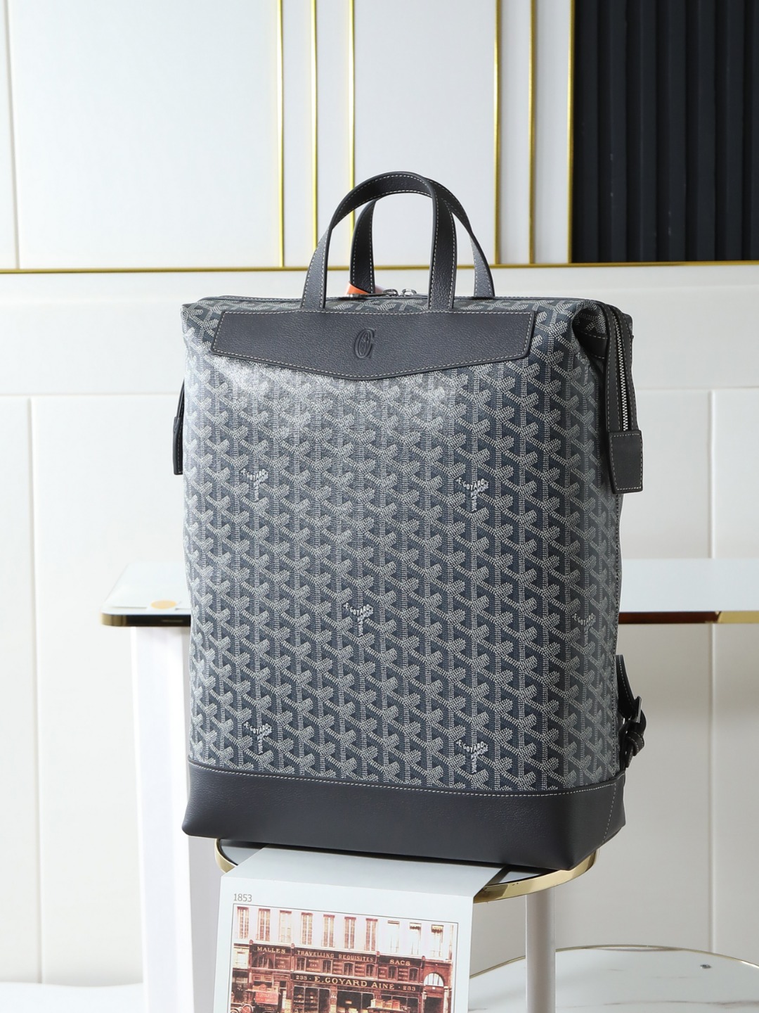 GOYARD 戈雅 双肩 Cisalpin (Canvas and Leather) — Backpack-F0-CISALPMMLTY