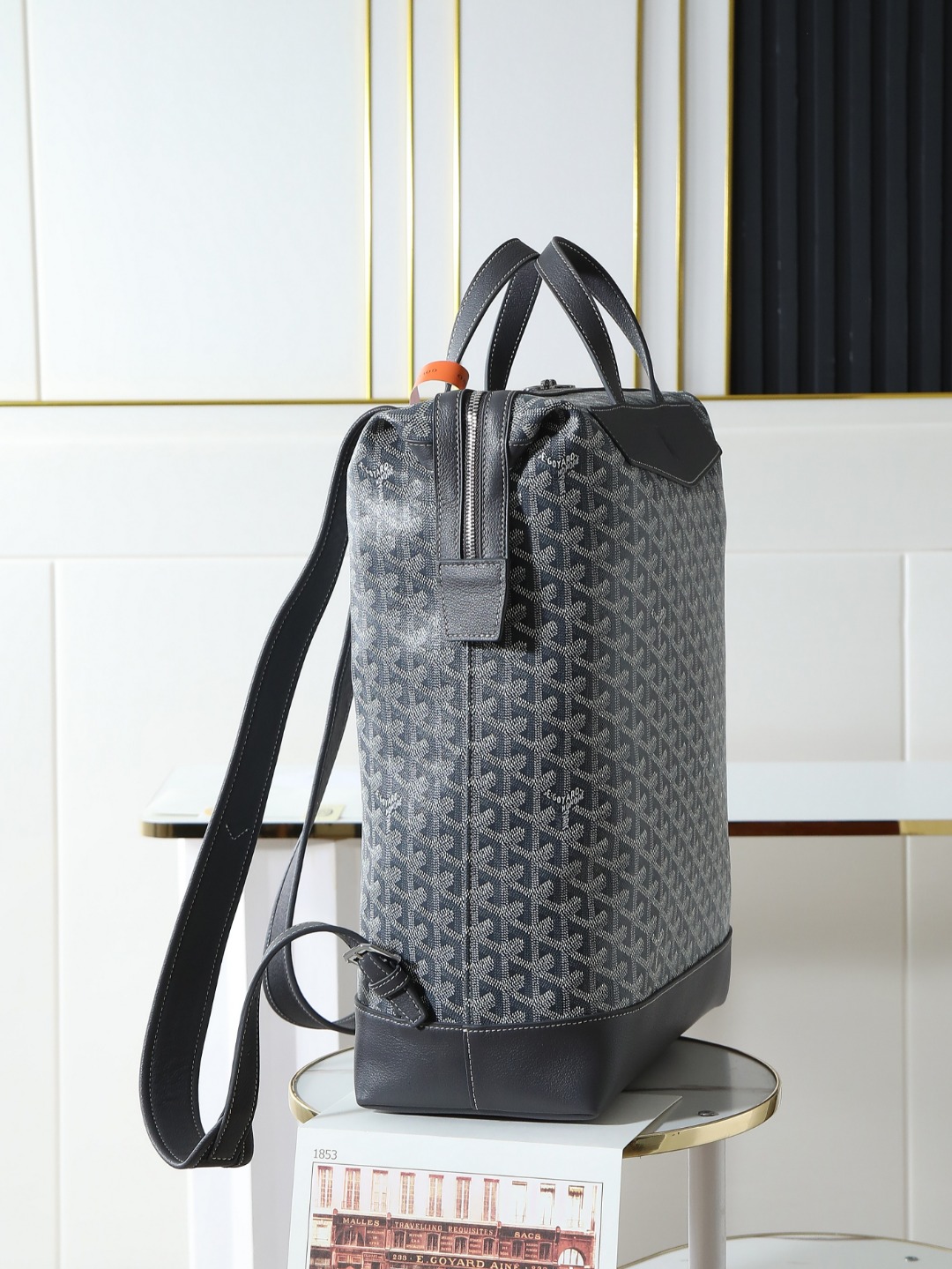 GOYARD 戈雅 双肩 Cisalpin (Canvas and Leather) — Backpack-F0-CISALPMMLTY
