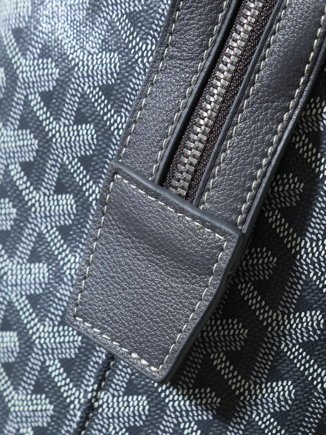GOYARD 戈雅 双肩 Cisalpin (Canvas and Leather) — Backpack-F0-CISALPMMLTY