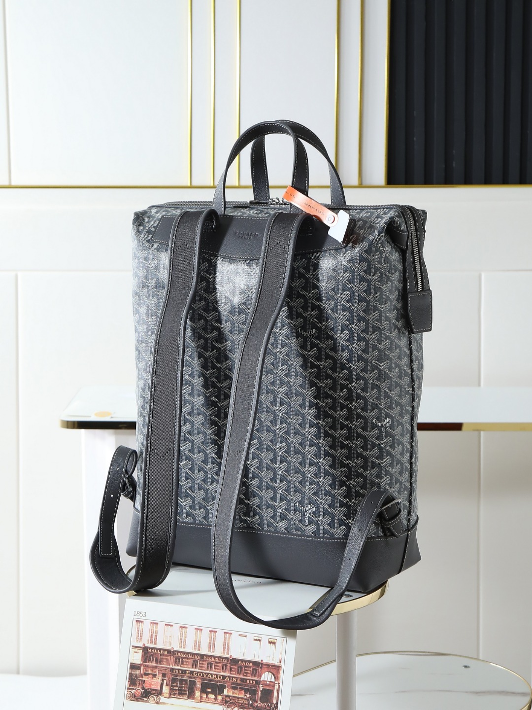 GOYARD 戈雅 双肩 Cisalpin (Canvas and Leather) — Backpack-F0-CISALPMMLTY