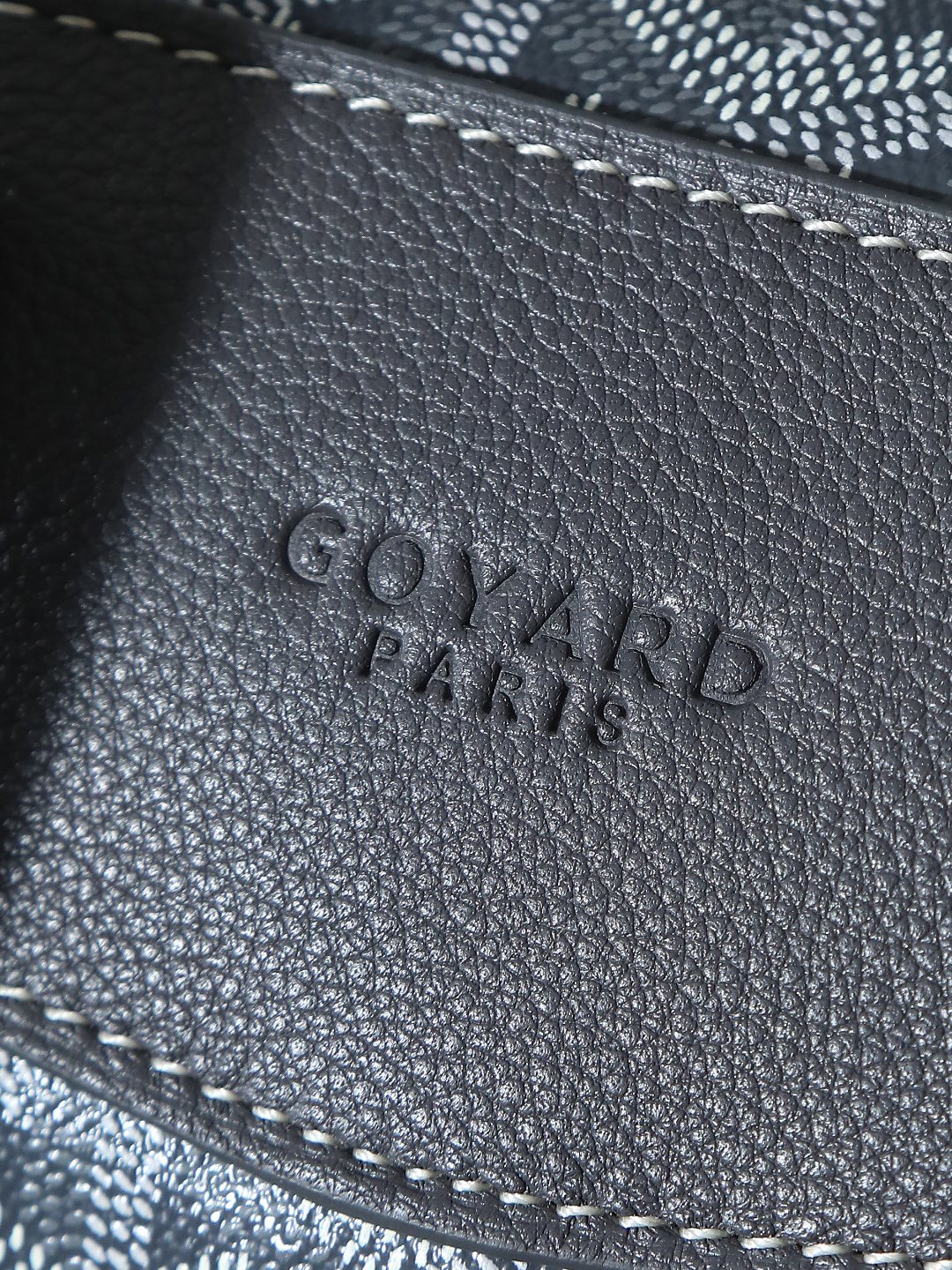 GOYARD 戈雅 双肩 Cisalpin (Canvas and Leather) — Backpack-F0-CISALPMMLTY