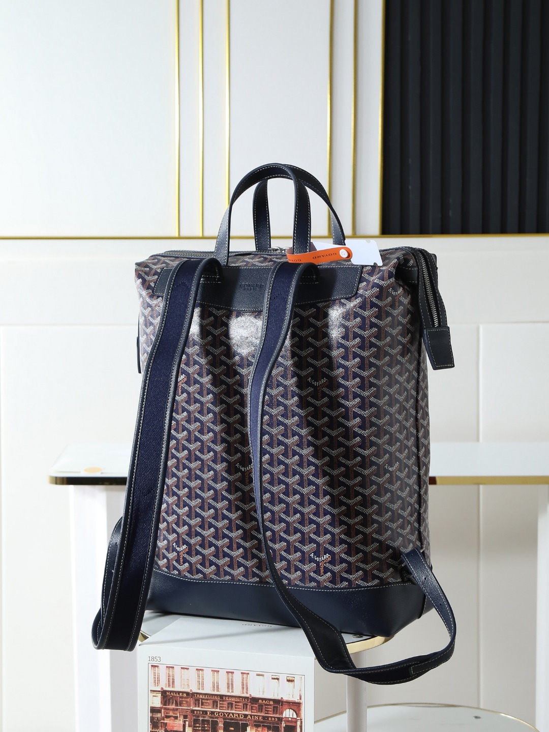GOYARD 戈雅 双肩 Cisalpin (Canvas and Leather) — Backpack-F0-CISALPMMLTY