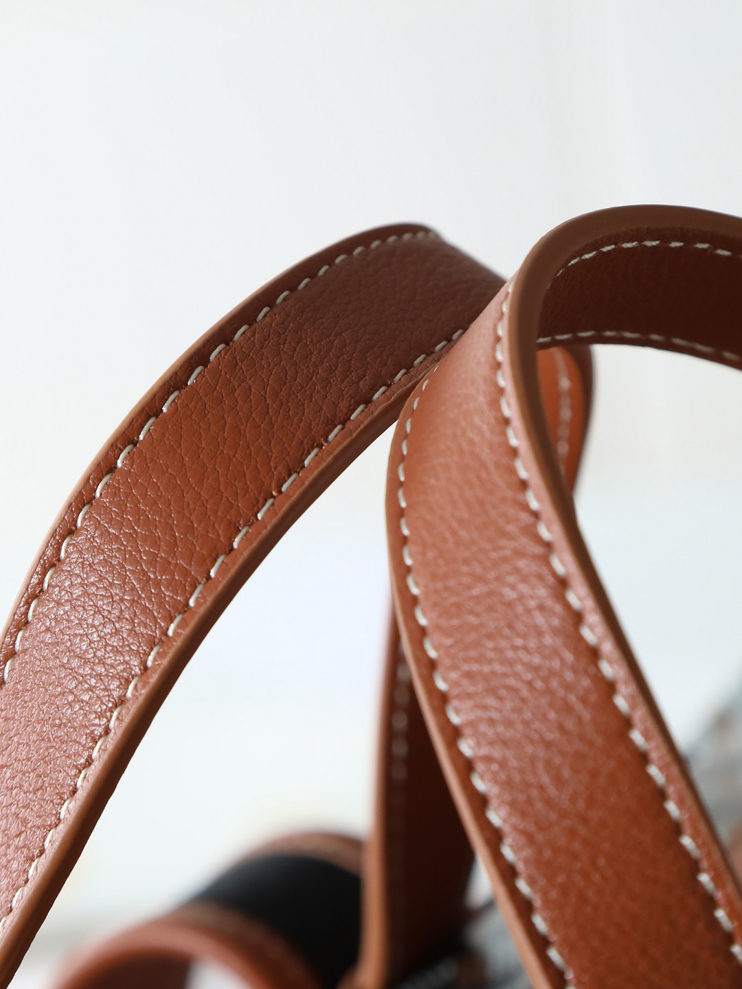 GOYARD 戈雅 双肩 Cisalpin (Canvas and Leather) — Backpack-F0-CISALPMMLTY