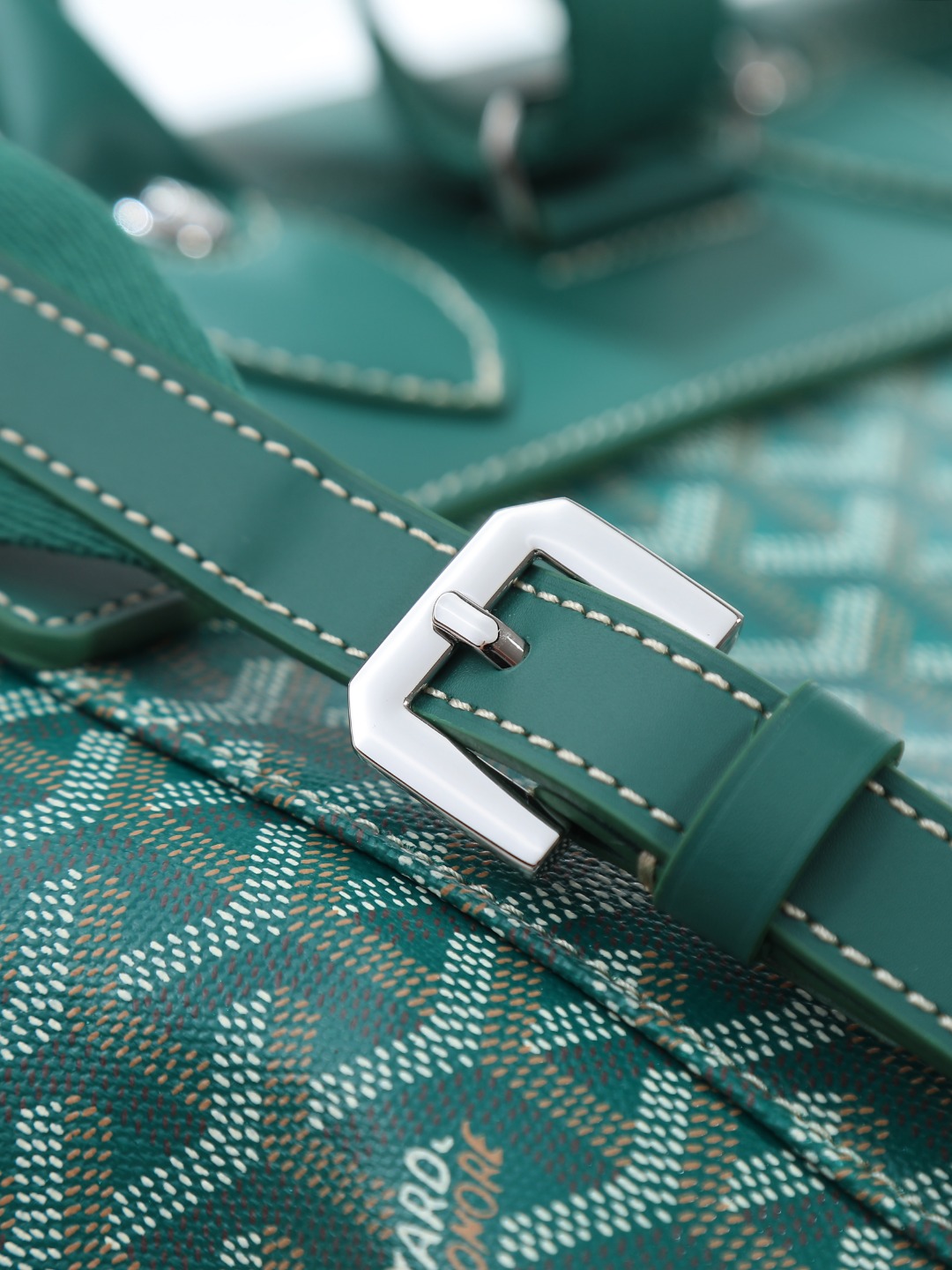 GOYARD 戈雅 双肩 Cisalpin (Canvas and Leather) — Backpack-F0-ALPIN2MMLTY
