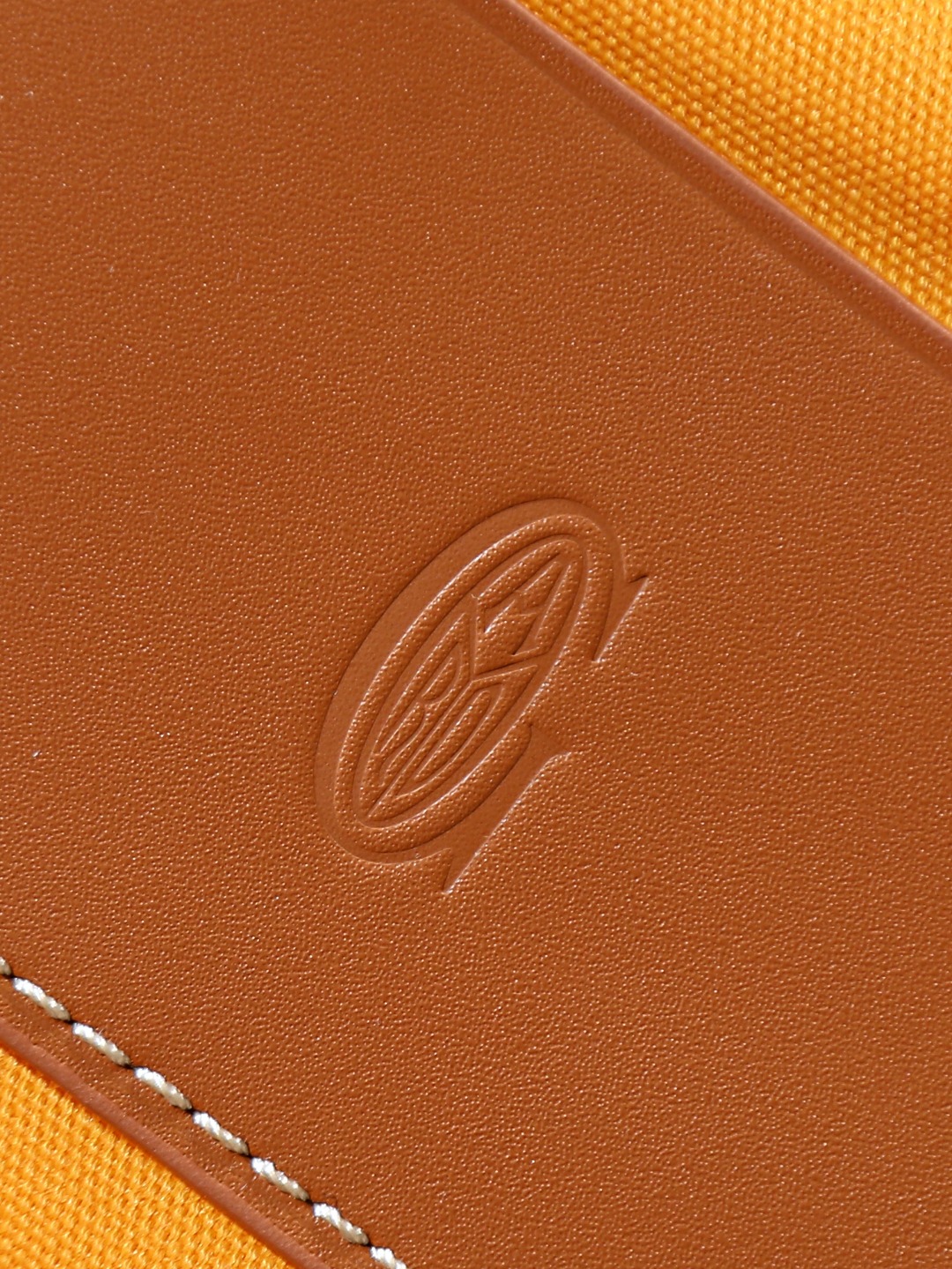 GOYARD 戈雅 双肩 Cisalpin (Canvas and Leather) — Backpack-F0-ALPIN2MMLTY